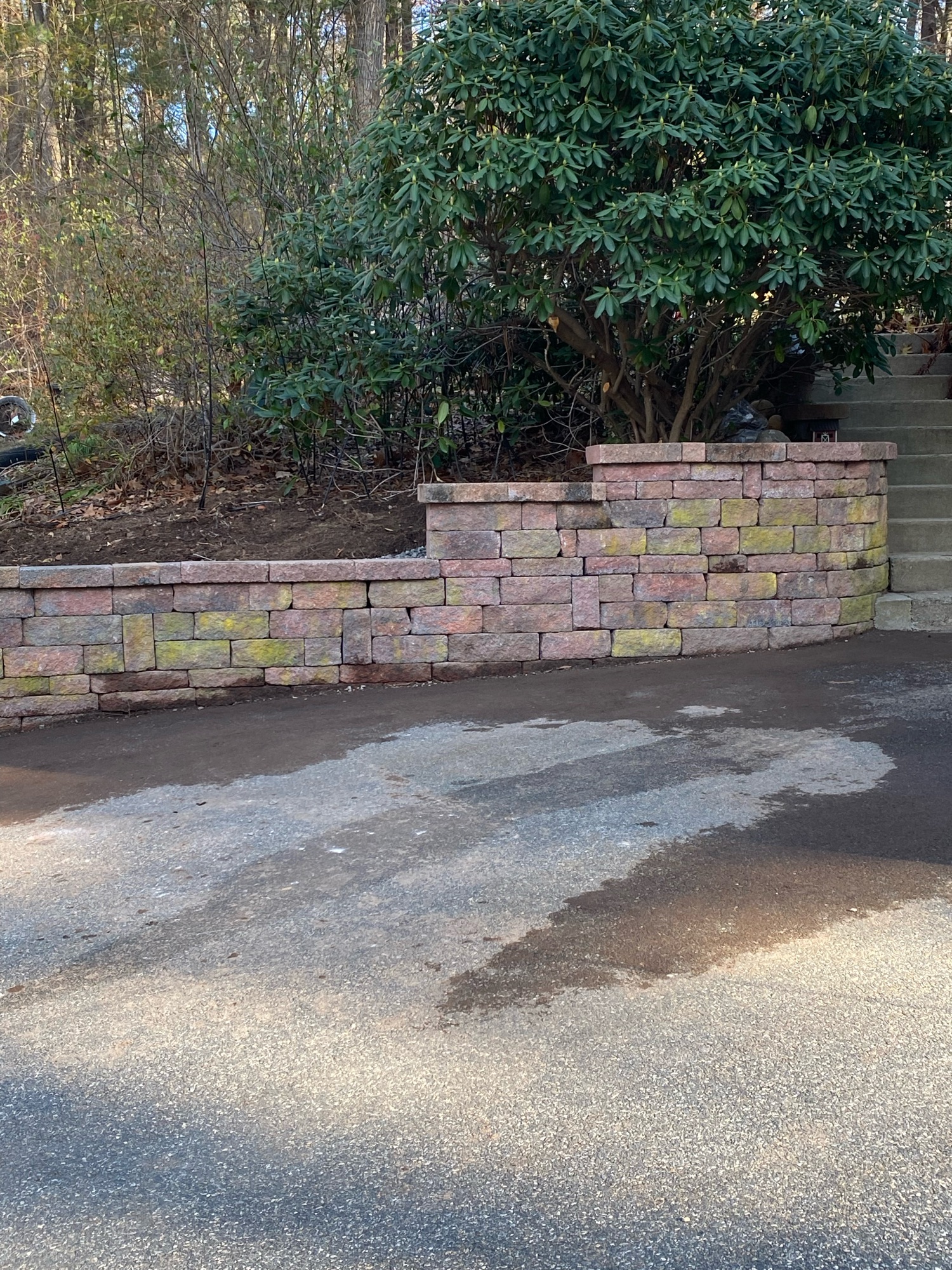 M. Esteban Landscaping & Construction Logo
