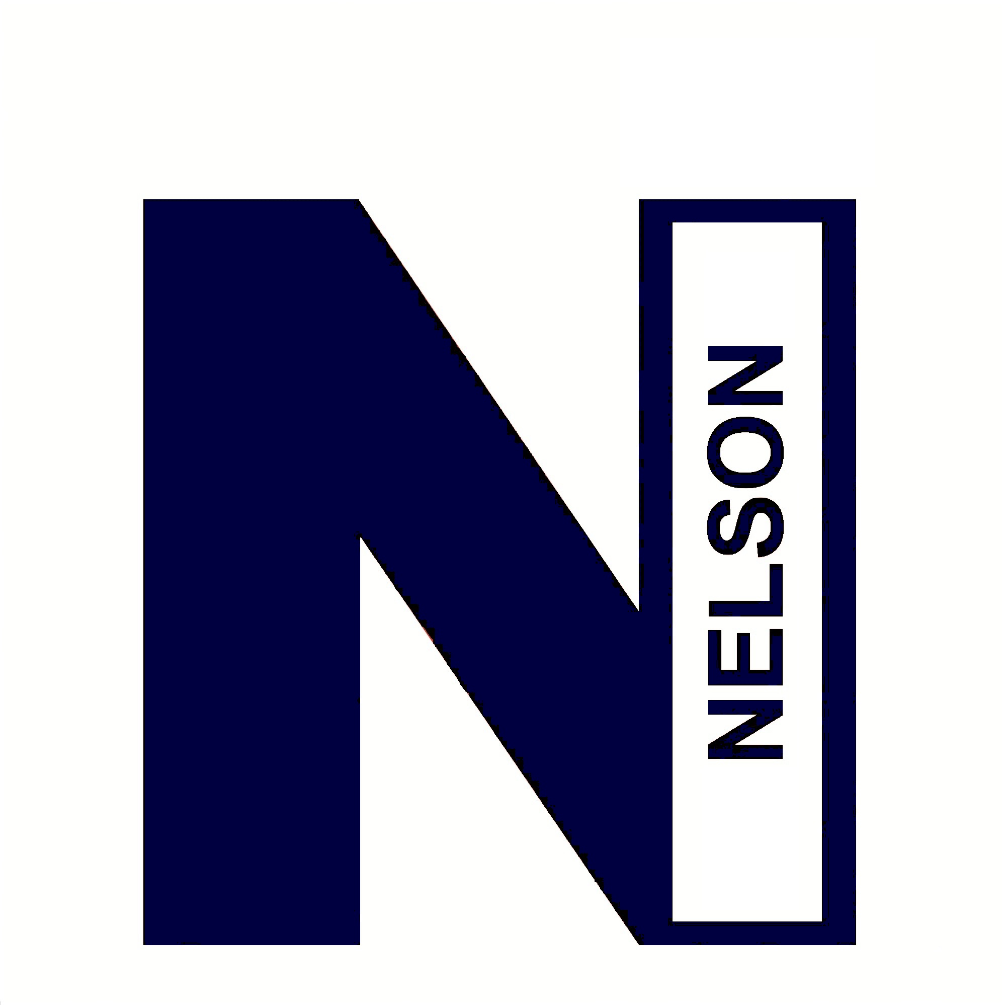 Nelson, LLC Logo