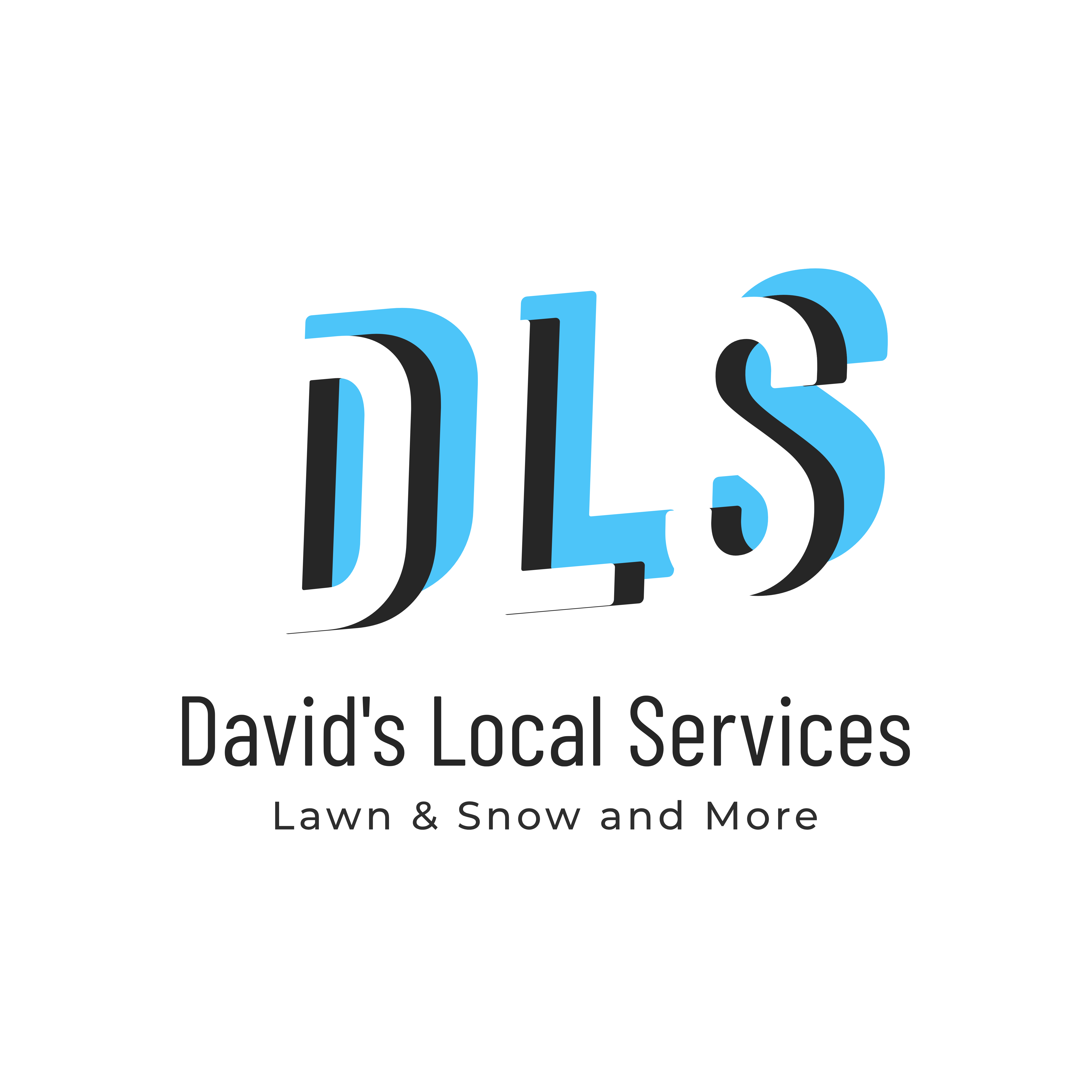 David's Local Services Logo