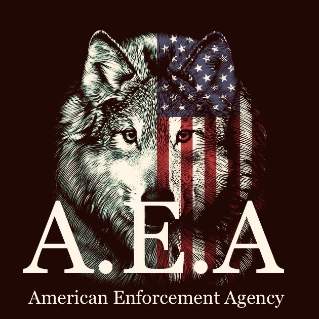 AEA Detailing & Wash, LLC Logo