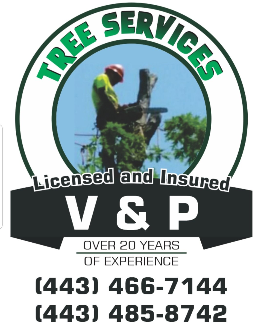 V&P Tree Services Logo