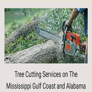 Solution Tree Services LLC Logo