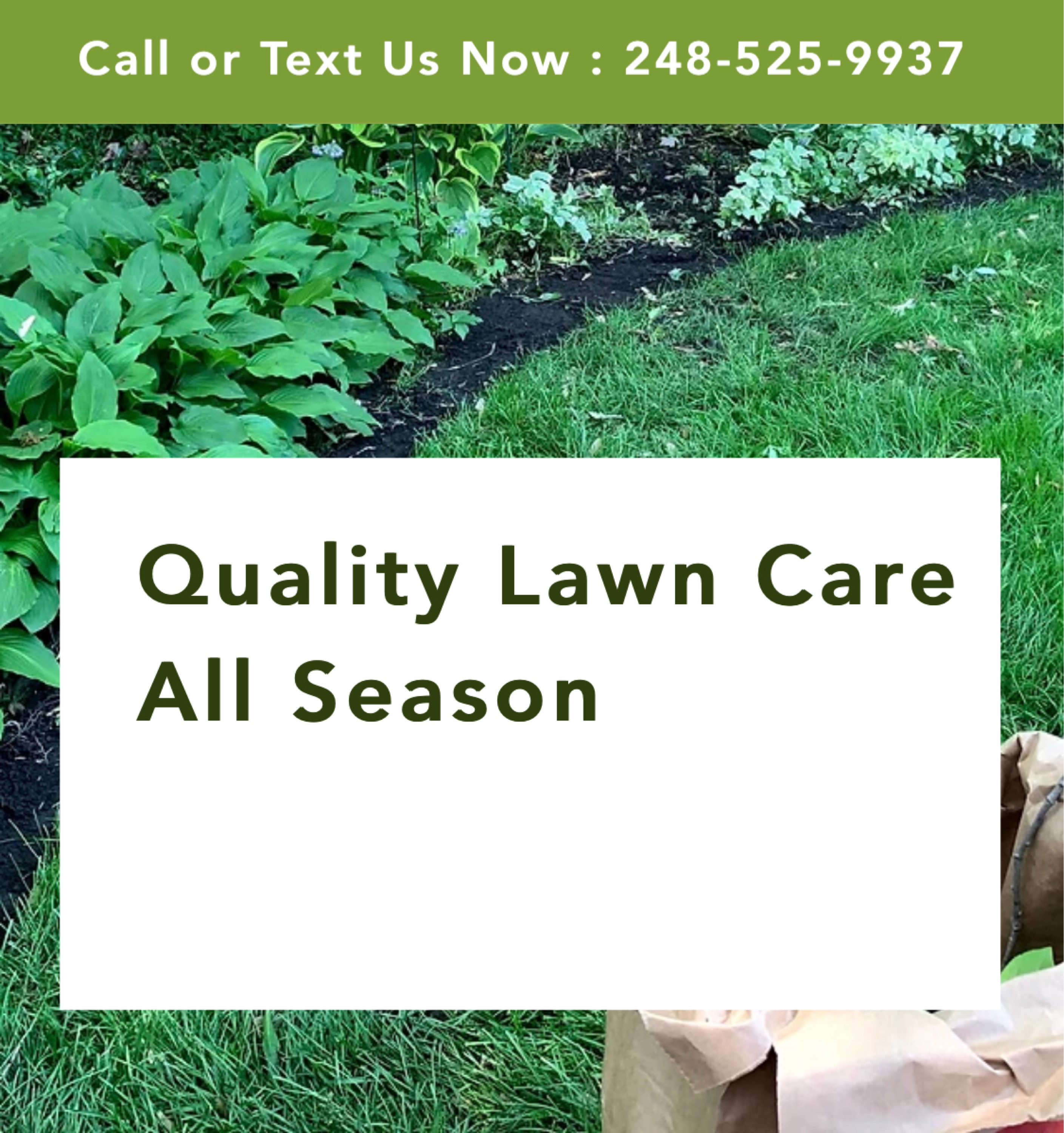 All Season Lawn Care Logo