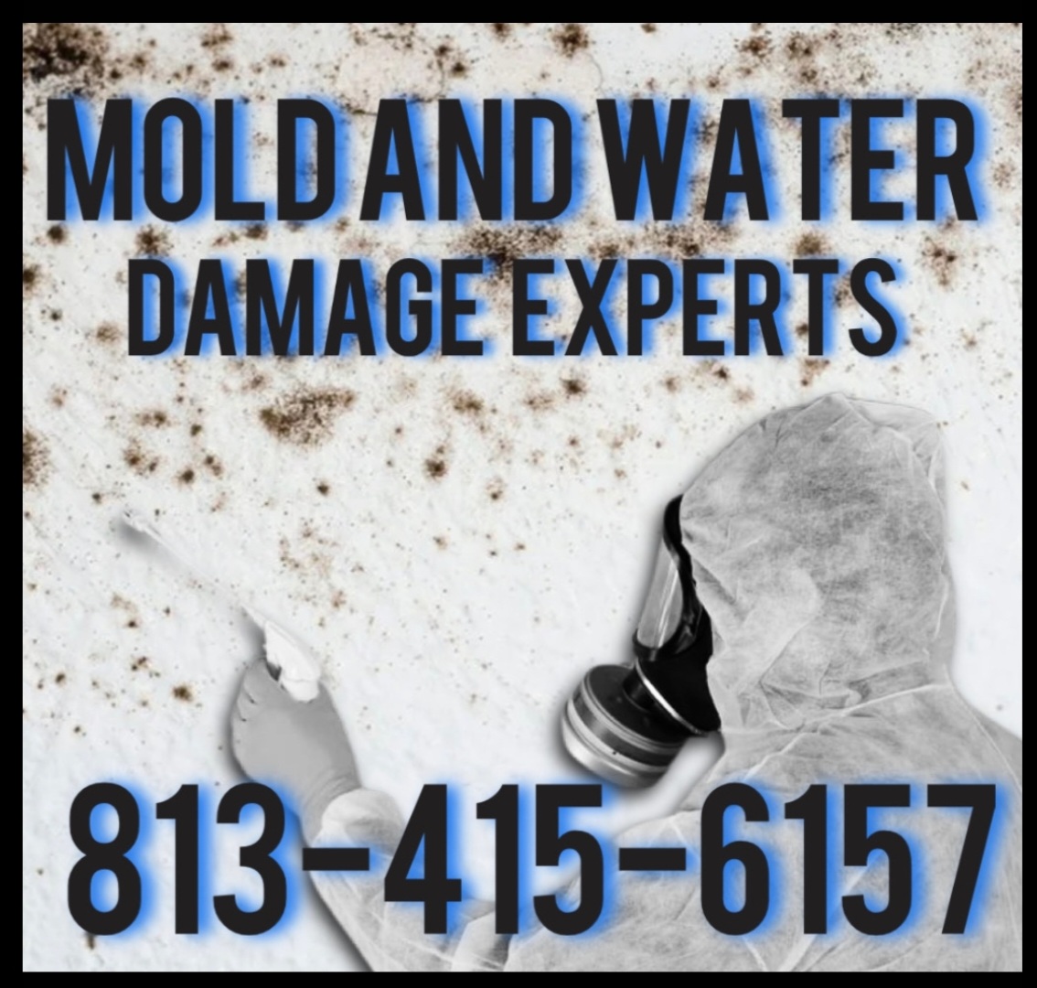 Mold and Water Damage Experts, LLC Logo
