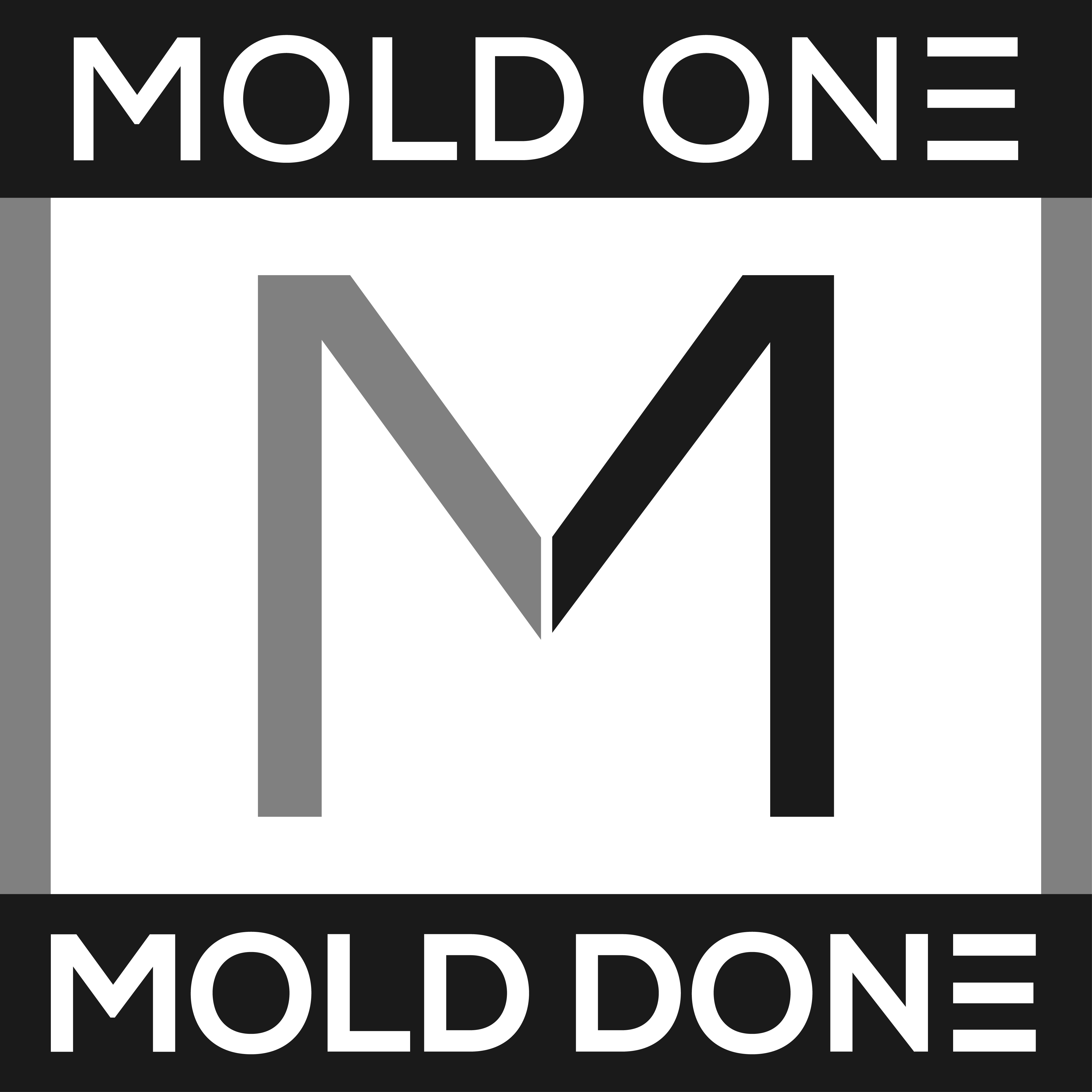 Mold One Missouri Logo