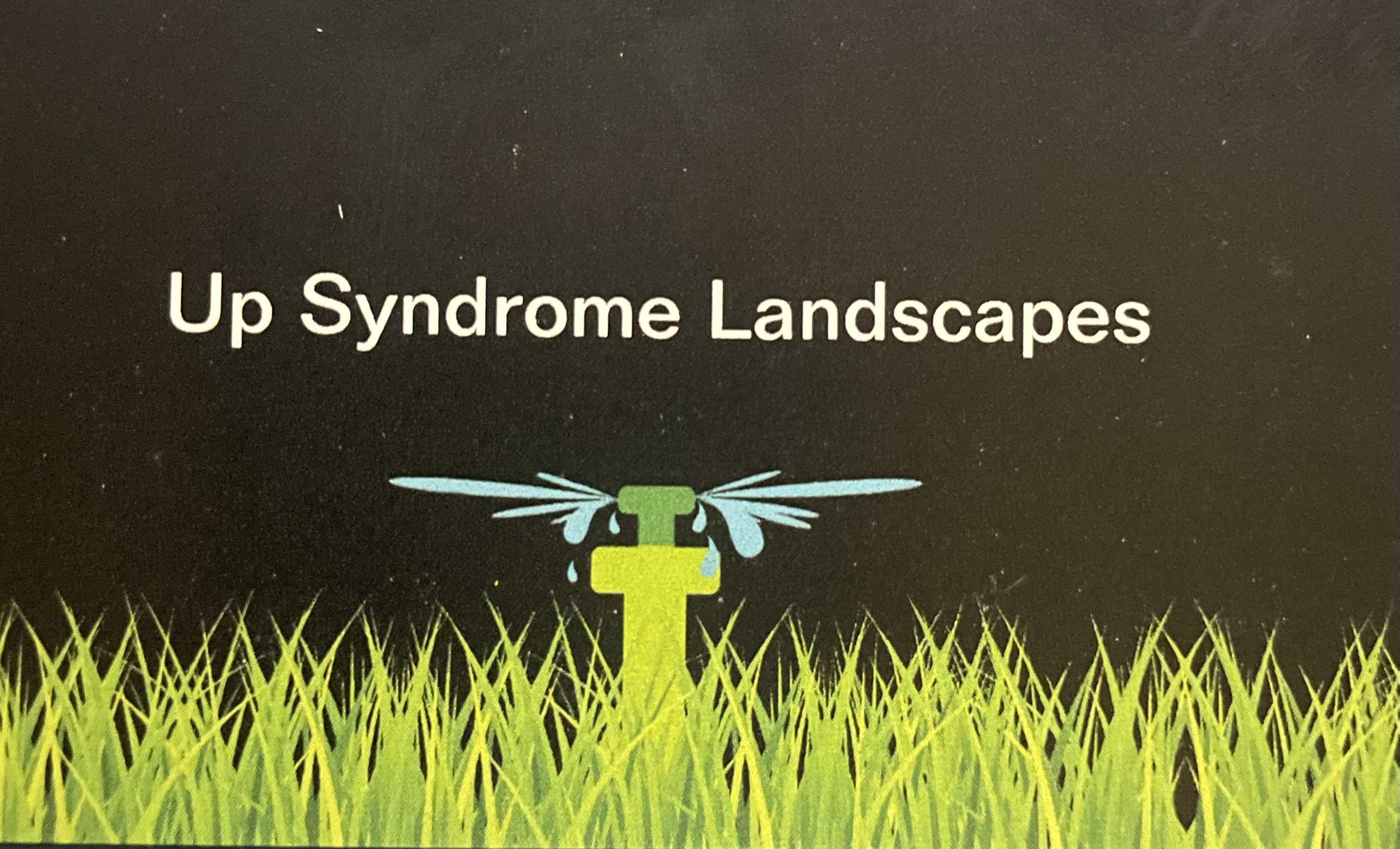 Up Syndrome Irrigation Systems Logo