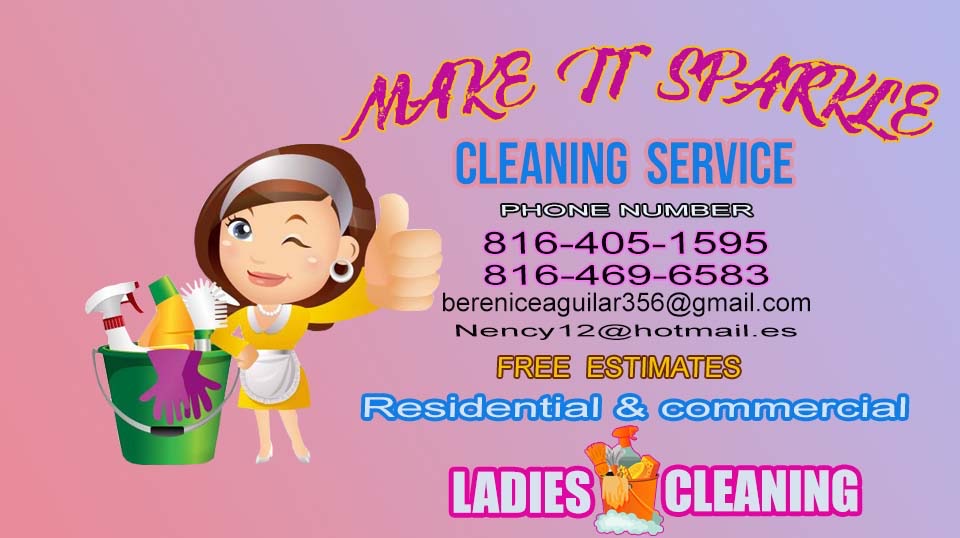 Ladies Cleaning, LLC Logo