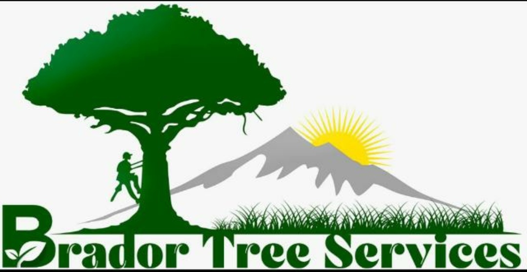 Brador Tree Service Logo