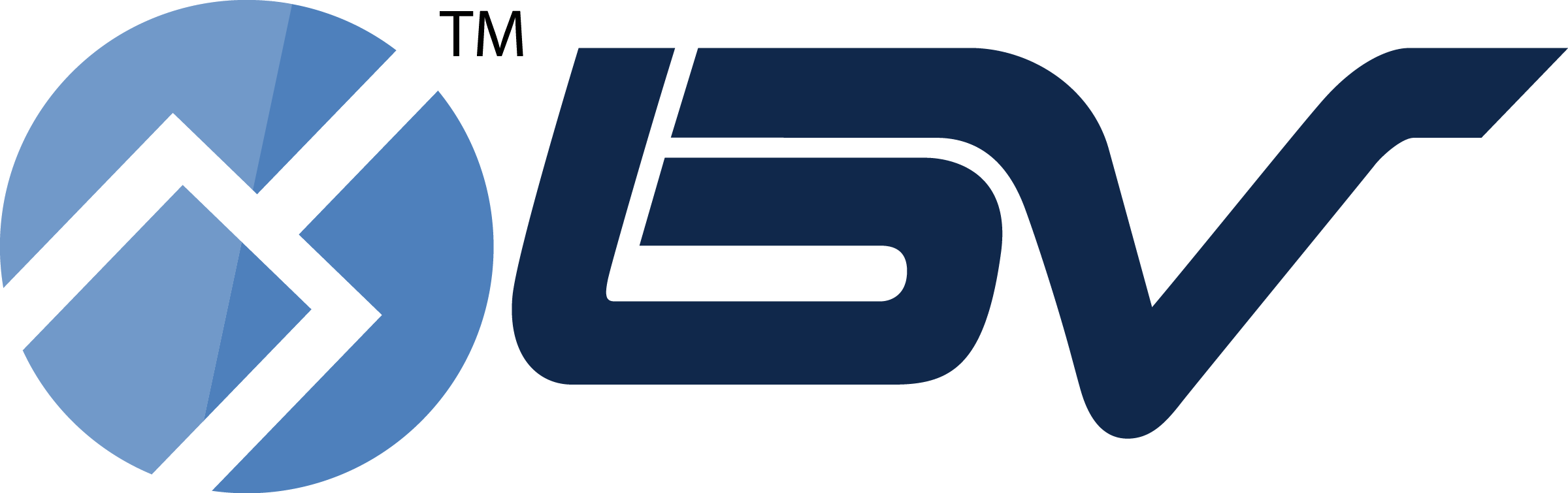 BV USA LLC Logo