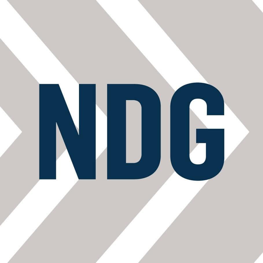 Nielsen Development Group Logo
