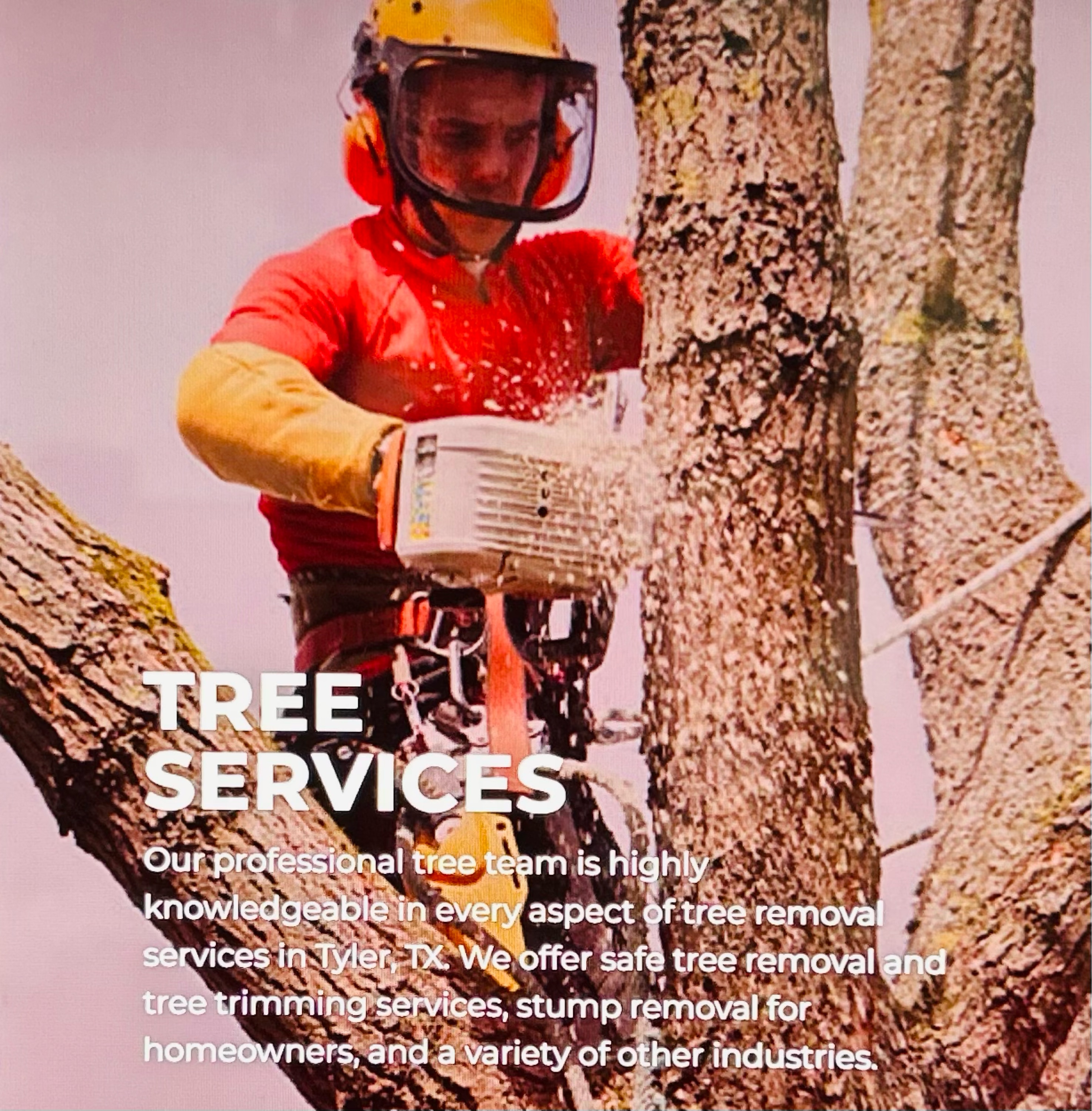 Integrity Tree Care & Landscaping, Inc. Logo