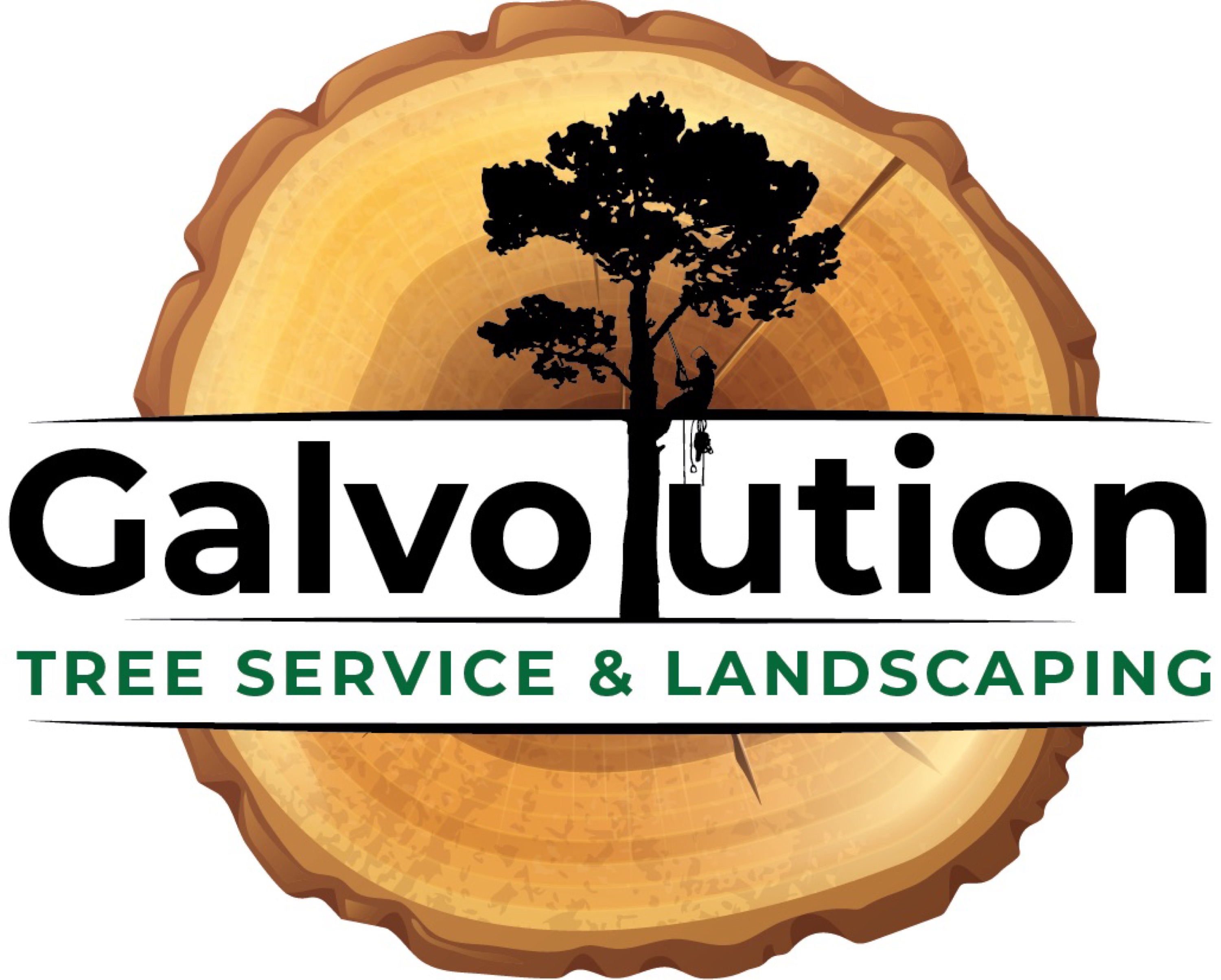 Galvolution Logo