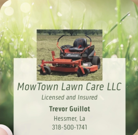 MowTown Lawn Care Logo