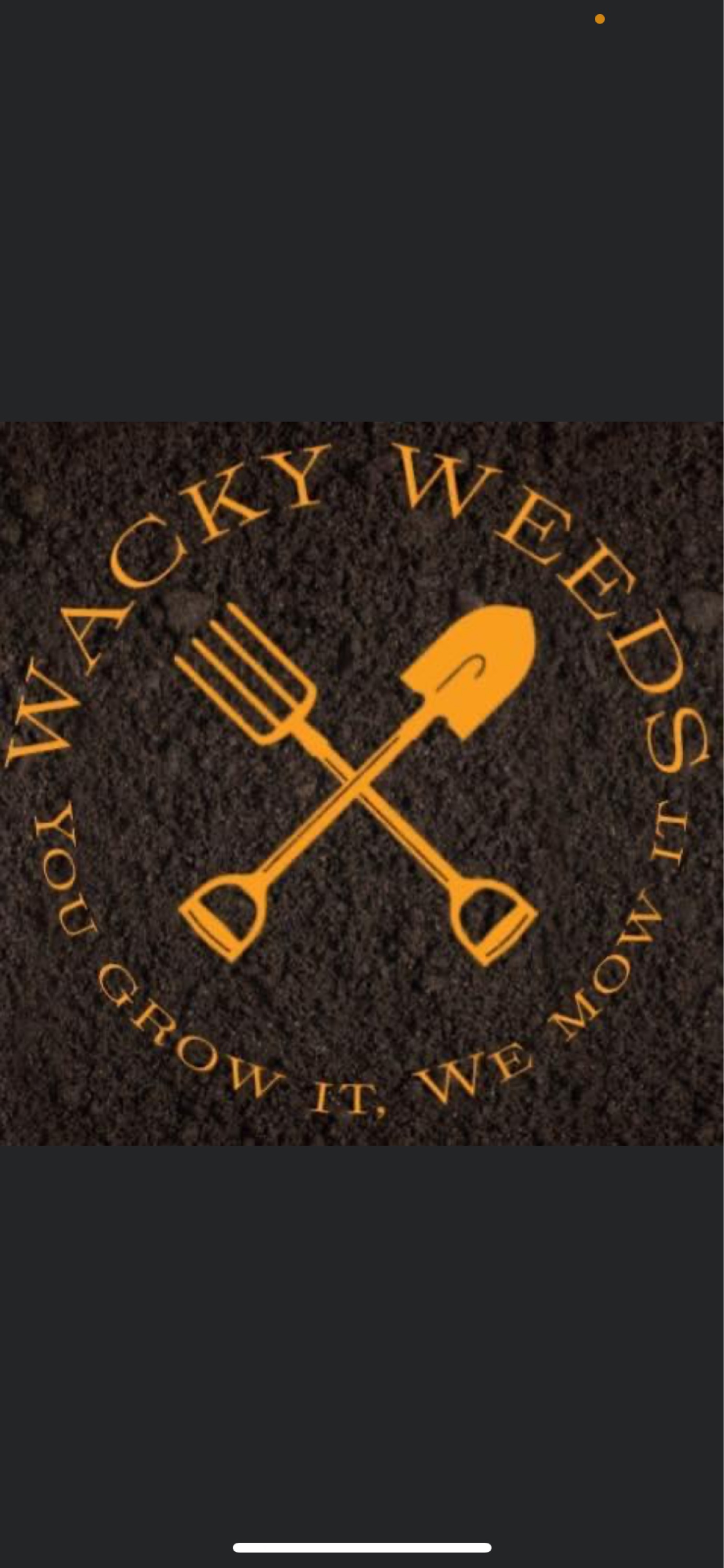 Wacky Weed's Logo