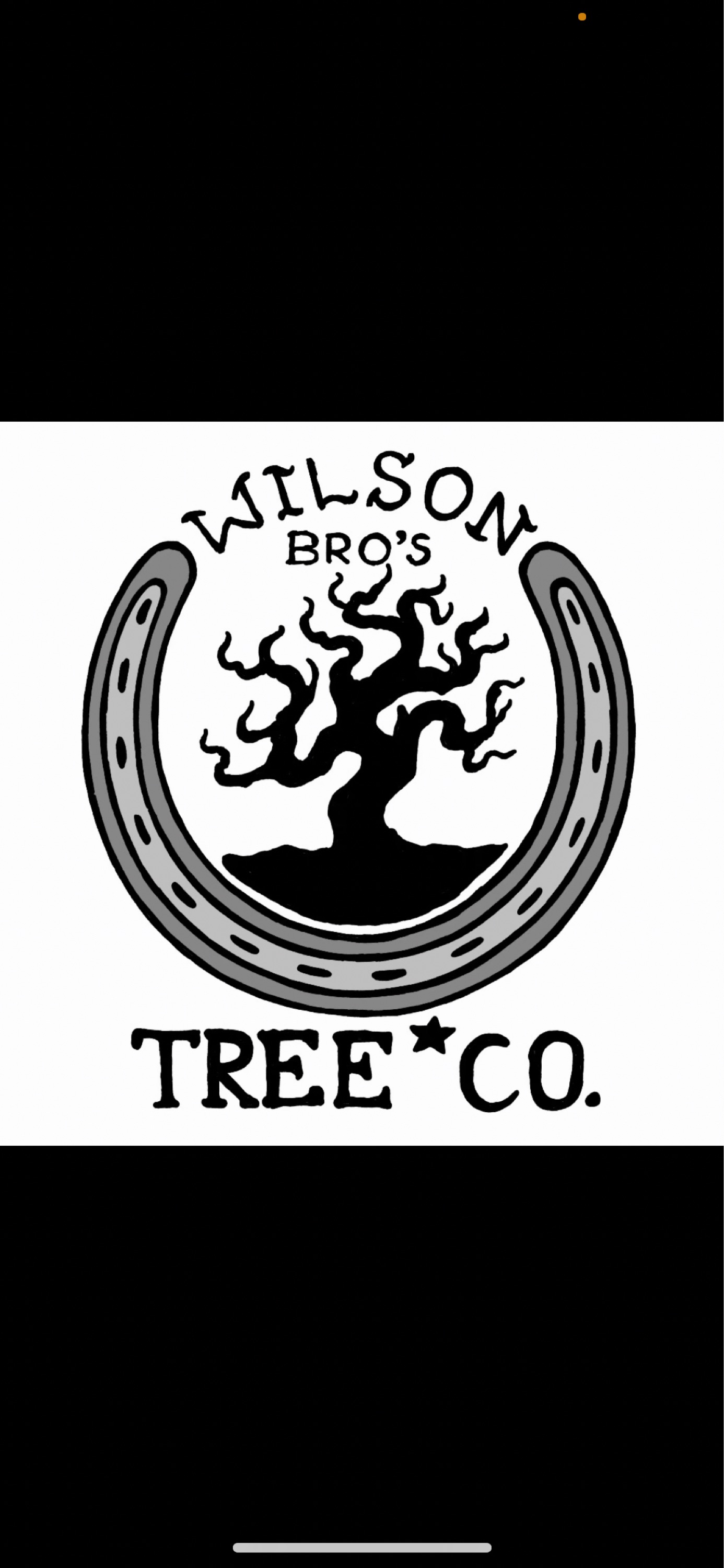 Wilson Bro's Tree Company Logo