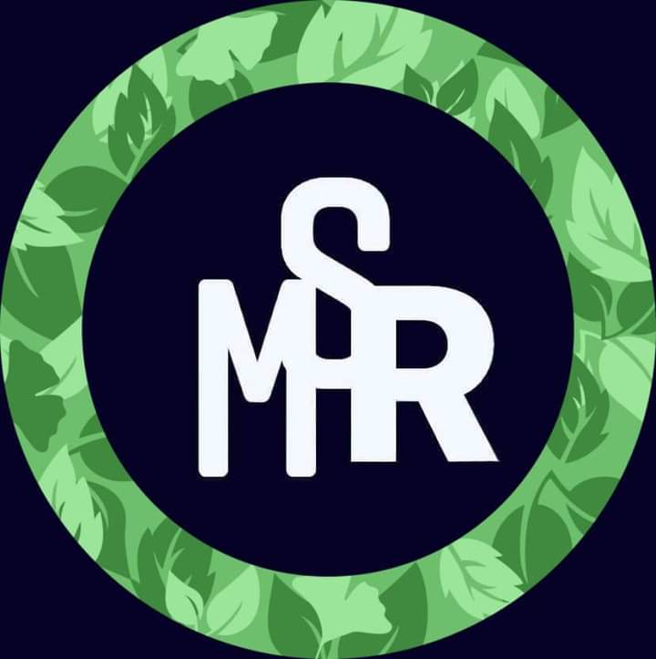MSR Stucco Restoration LLC Logo