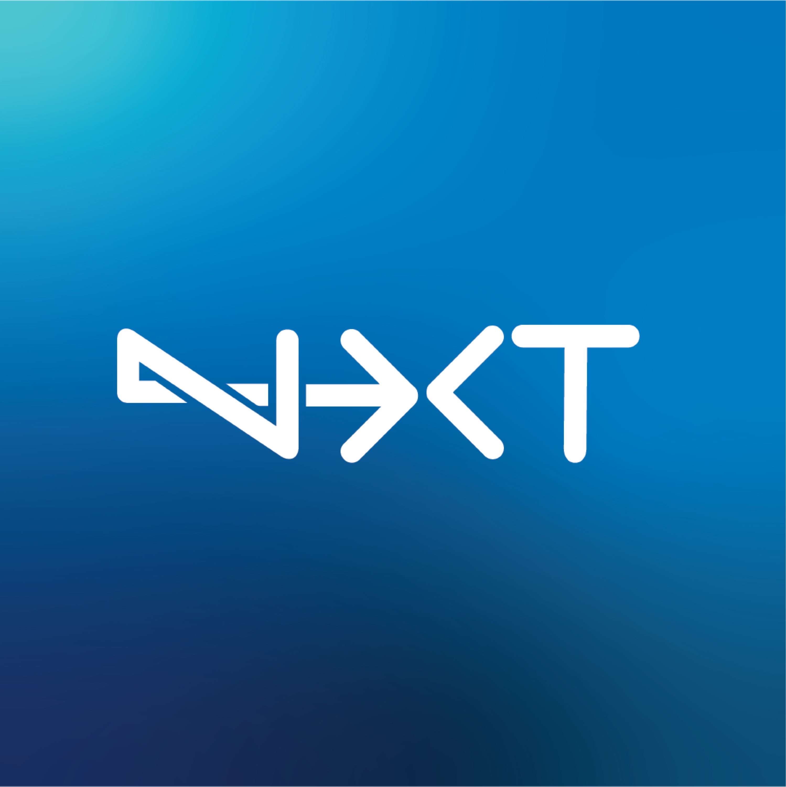 NXT LVL Remodeling Group Logo