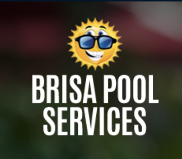 Brisa General Service, LLC Logo