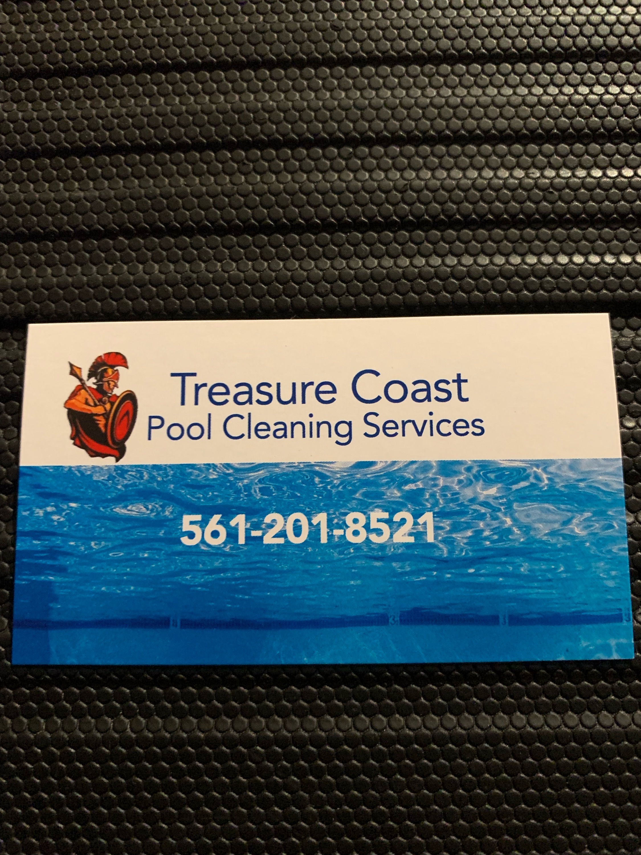 Treasure Coast Pool Services LLC Logo
