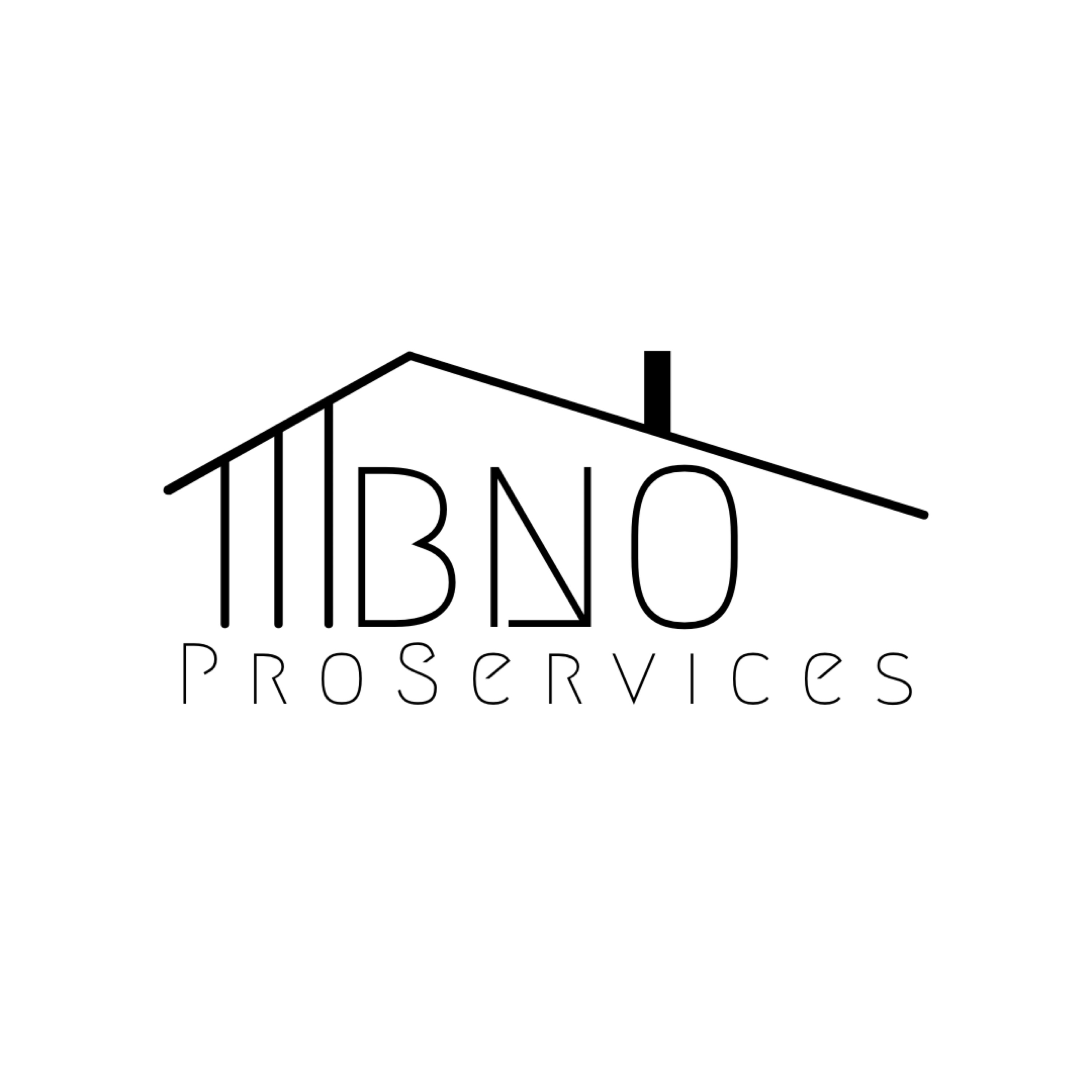 BNO Pro Services, LLC Logo