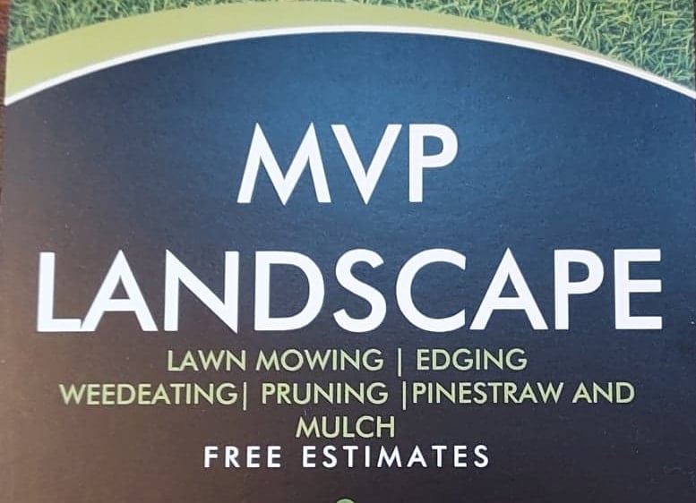 MVP Landscape Logo