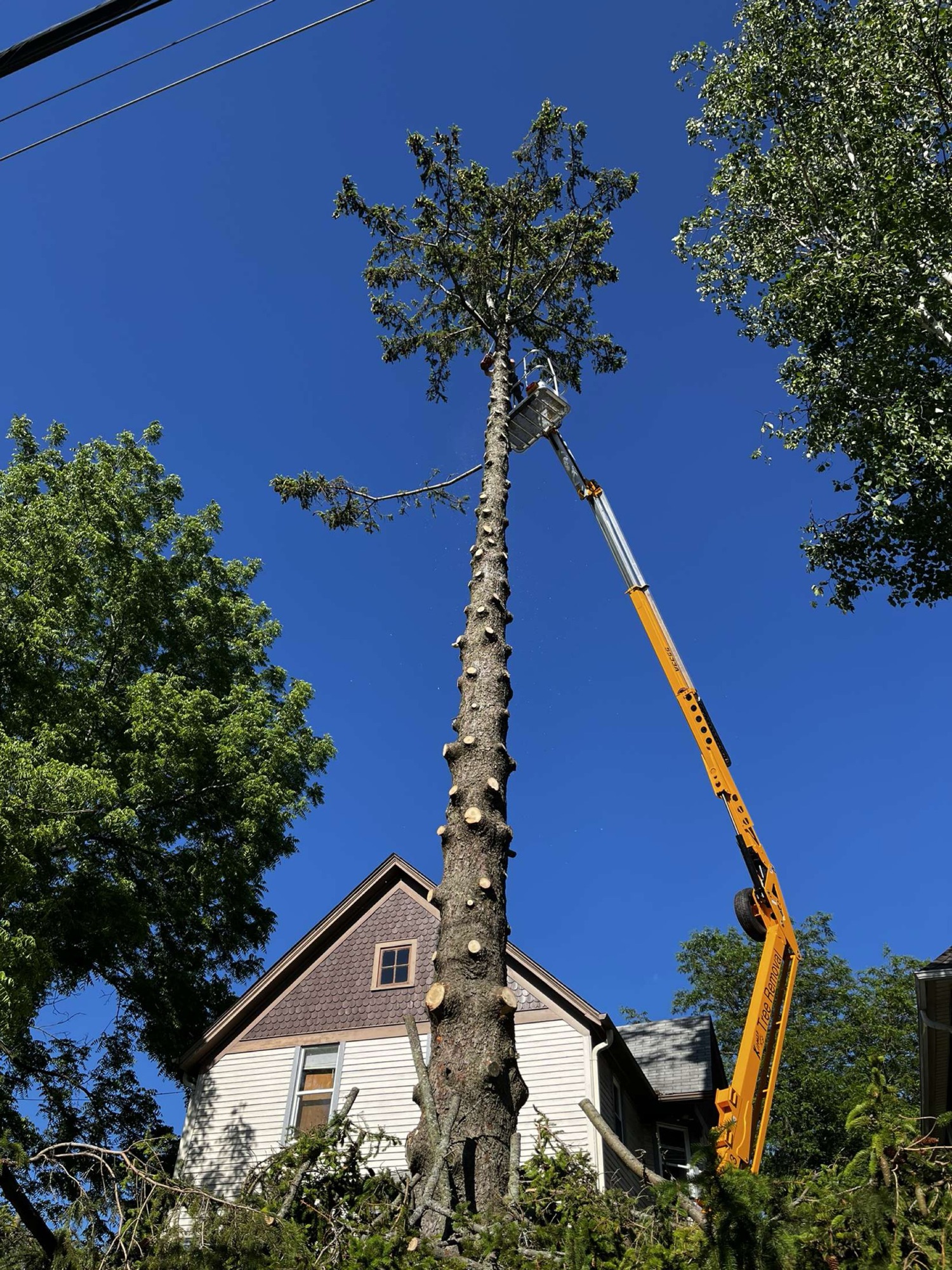 Kirmse Tree Removal LLC Logo