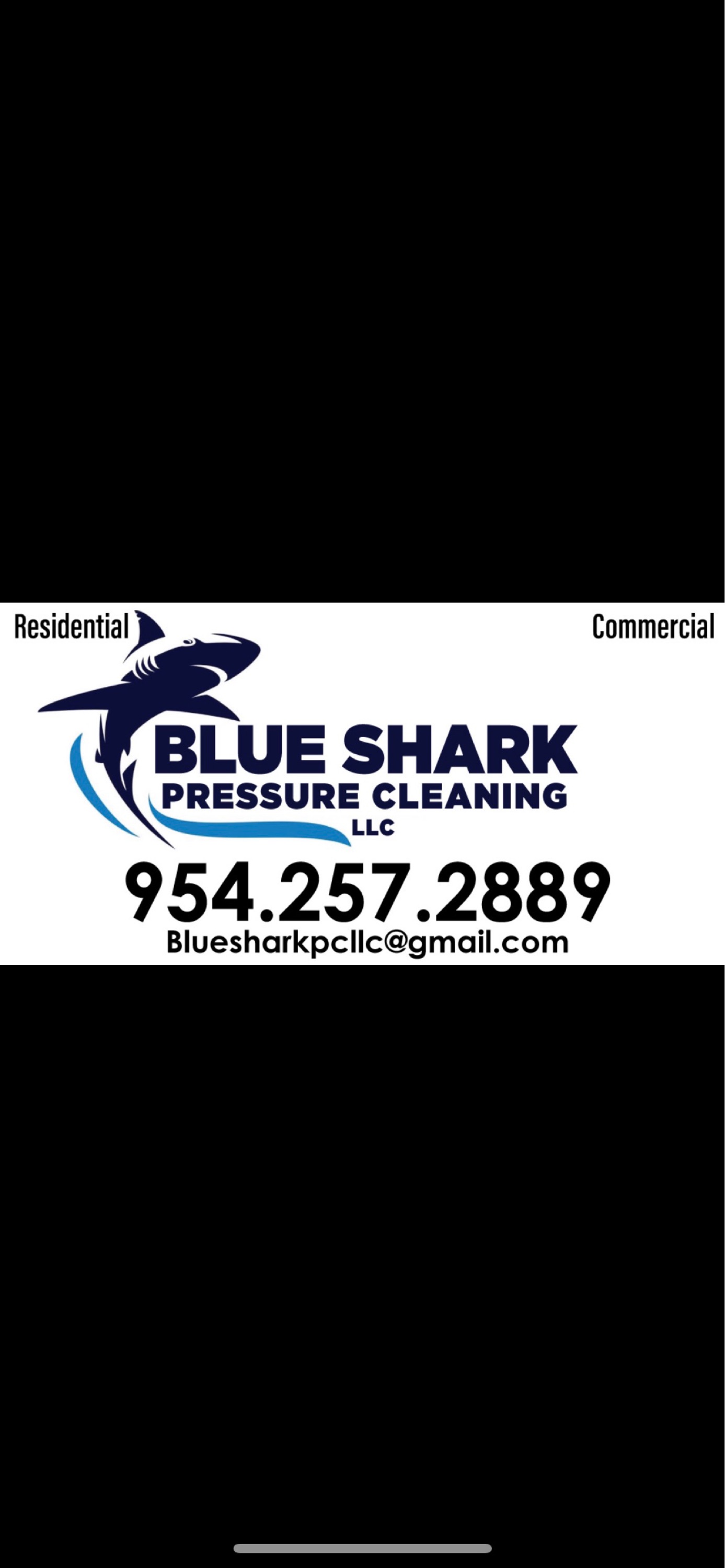 Blue Shark Pressure Cleaning Logo