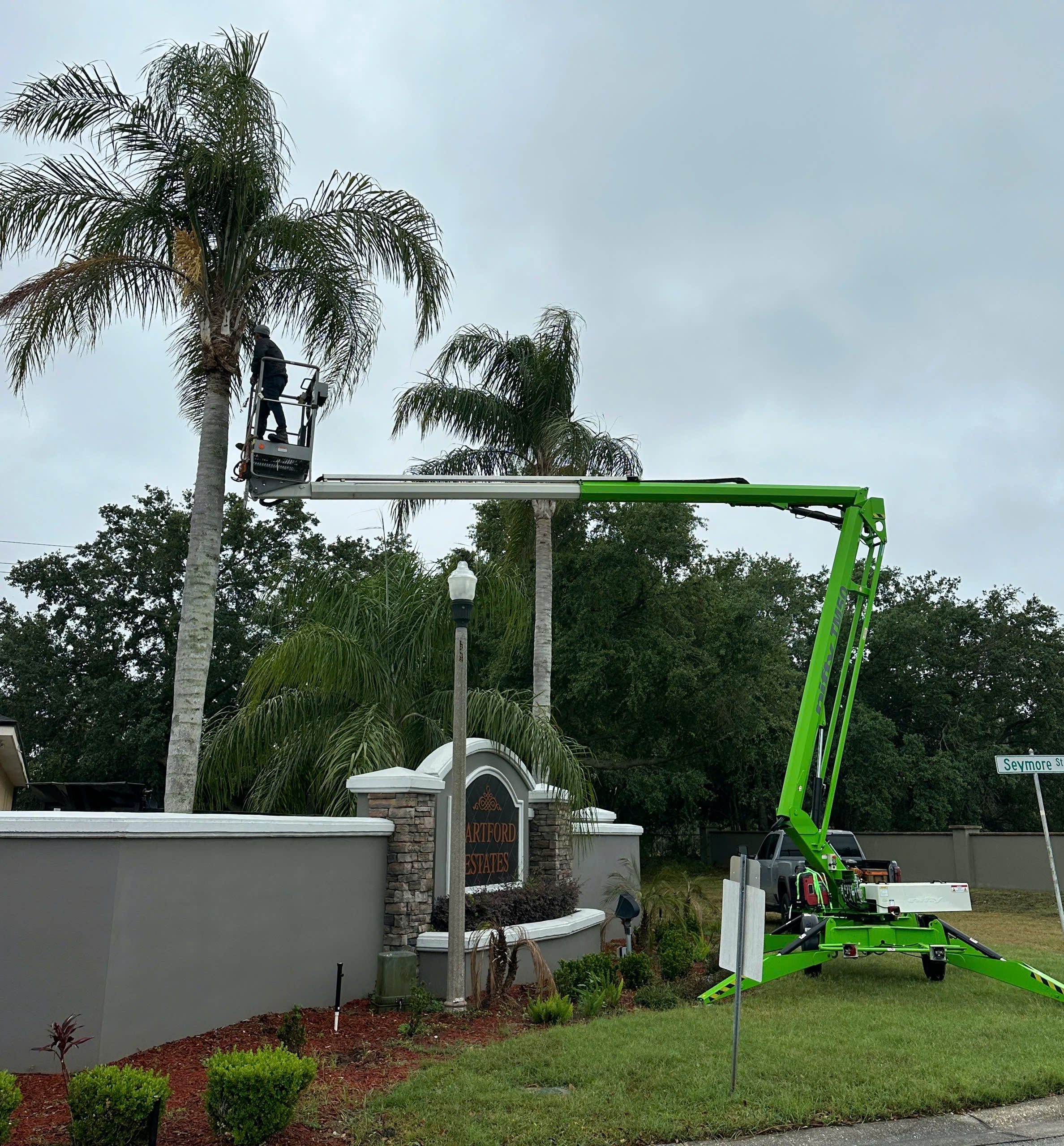 Ultimate Tree & Landscaping Services LLC Logo