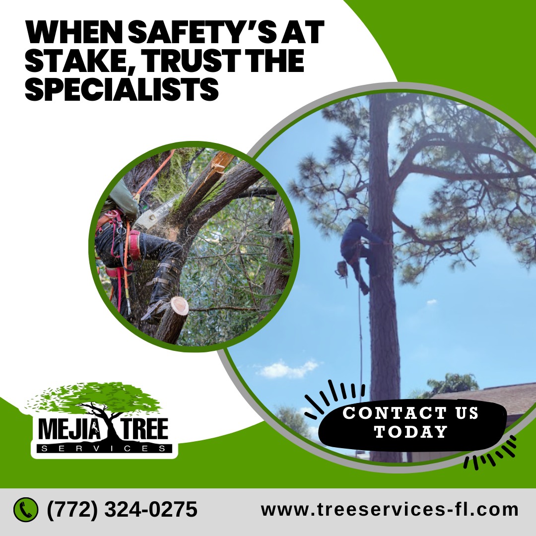 Mejia's Tree Services Logo