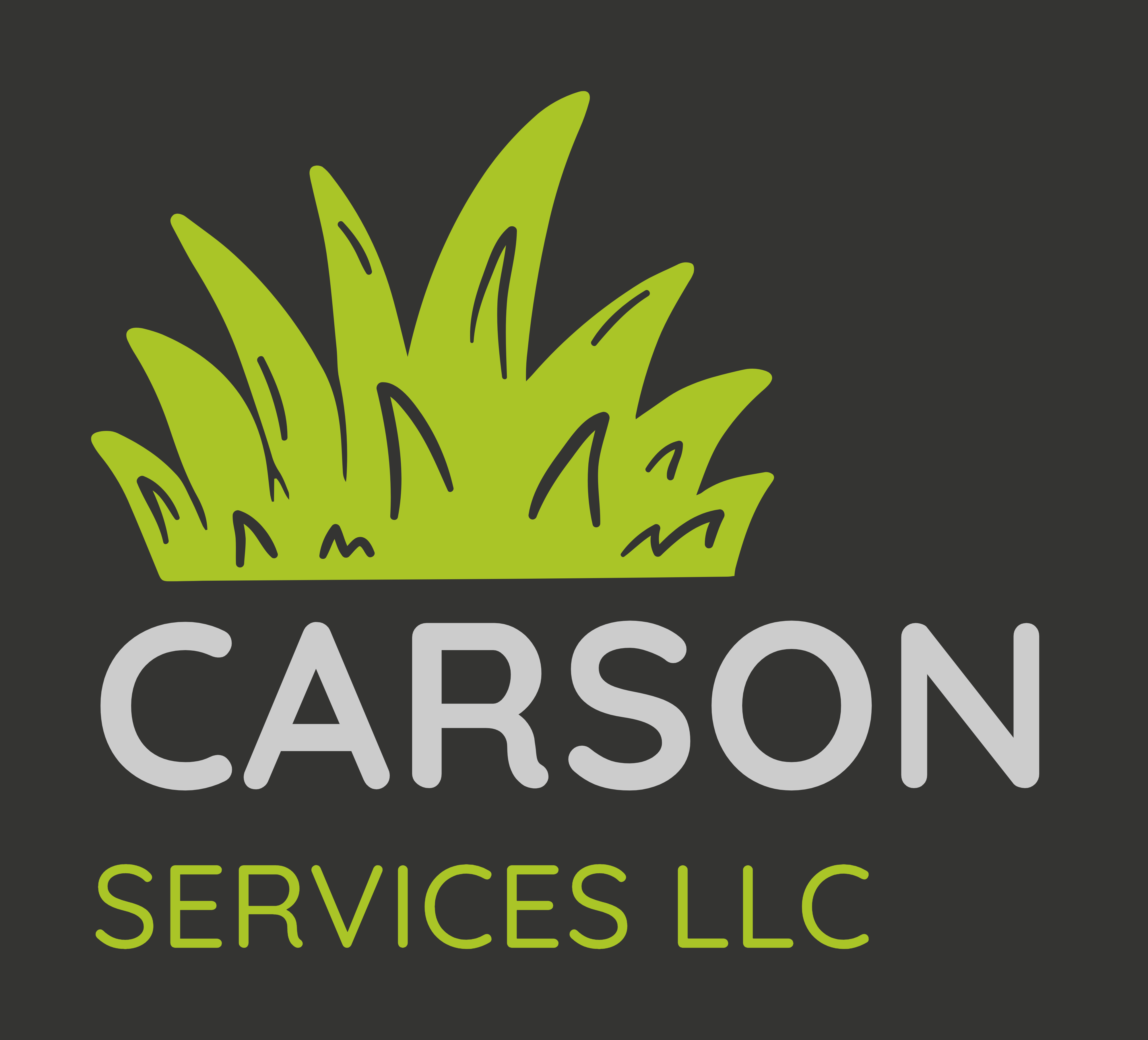 Carson Services, LLC Logo