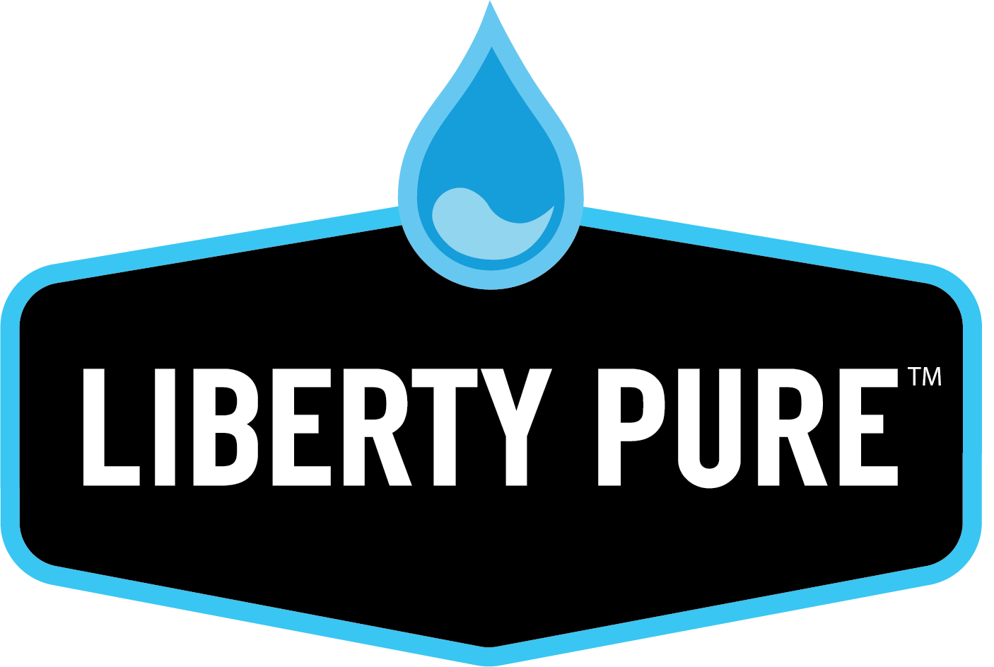 Total Plumbing Service Logo