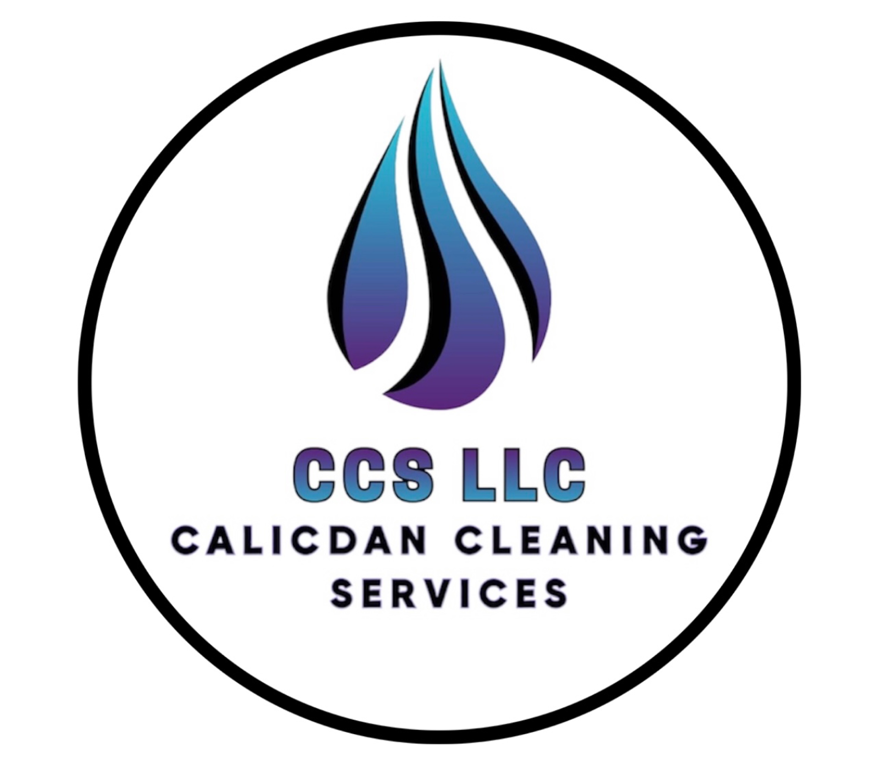 CCS, LLC Logo