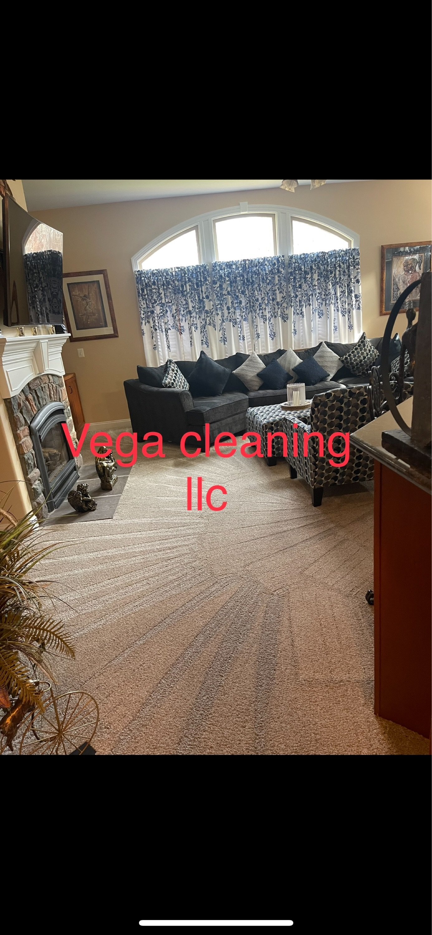 Vega Cleaning Logo