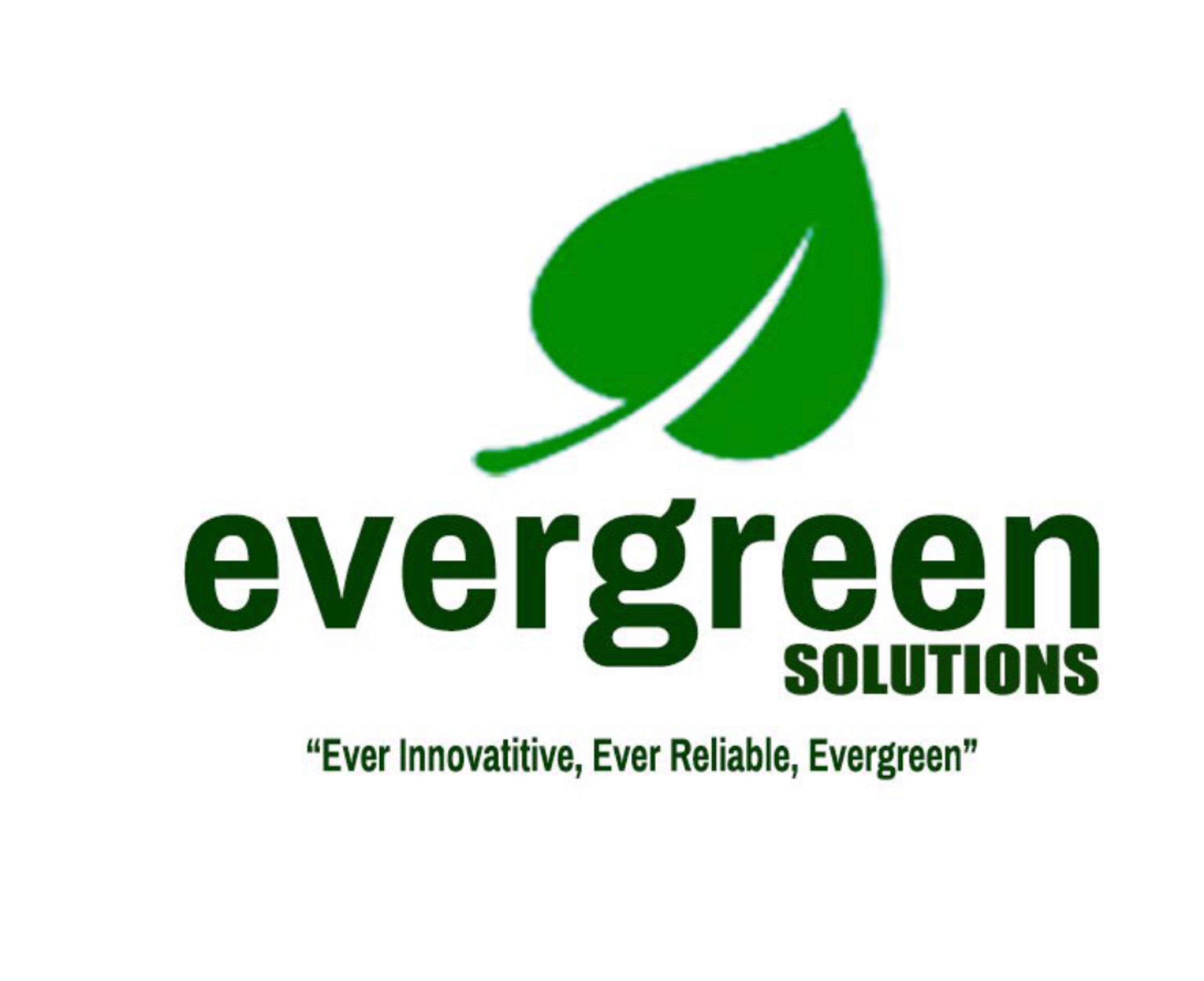 Evergreen Solutions inc Logo