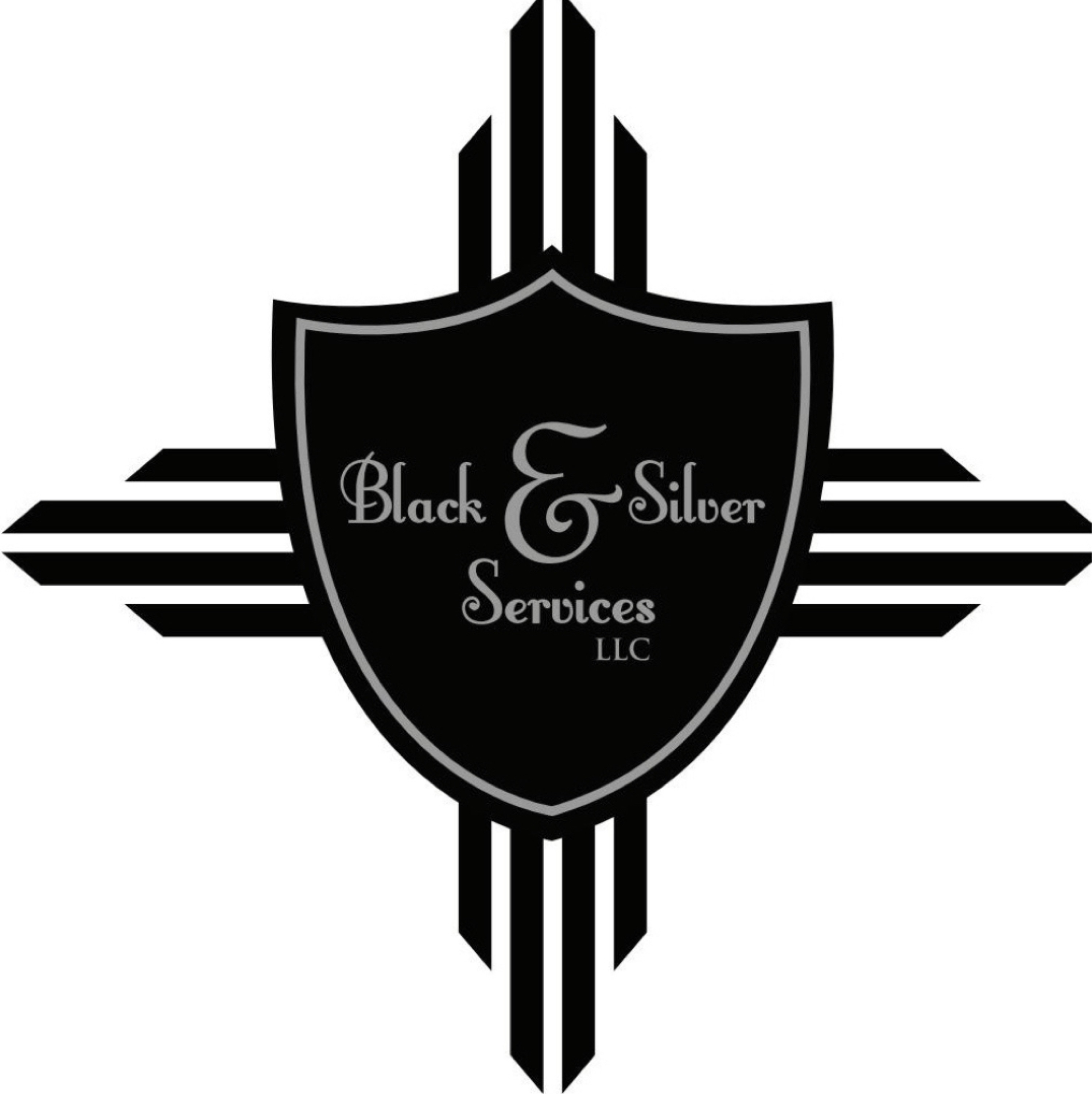 Black & Silver Services, LLC Logo