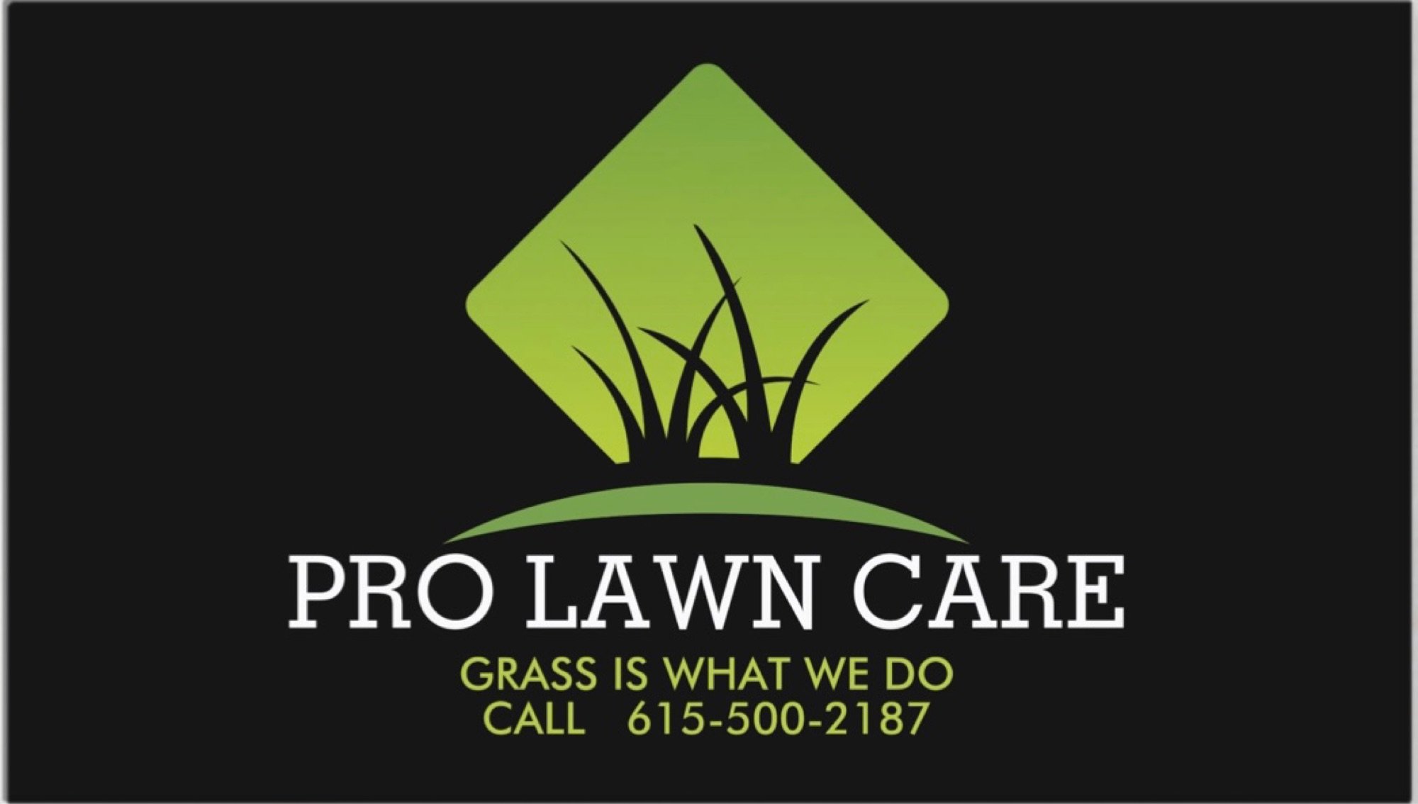 Pro Lawn Care Logo