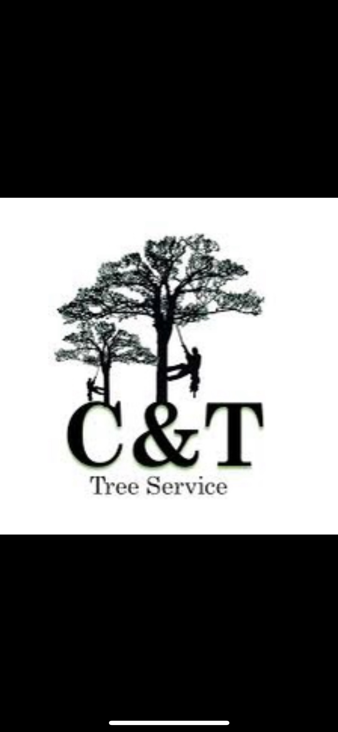 C&T Tree Service Pros Logo