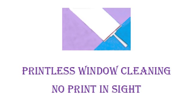 Printless Window Cleaning Logo