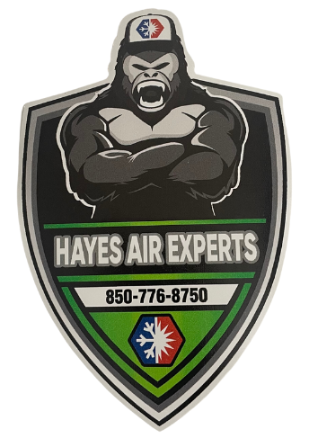 HAYES AIR EXPERTS LLC Logo