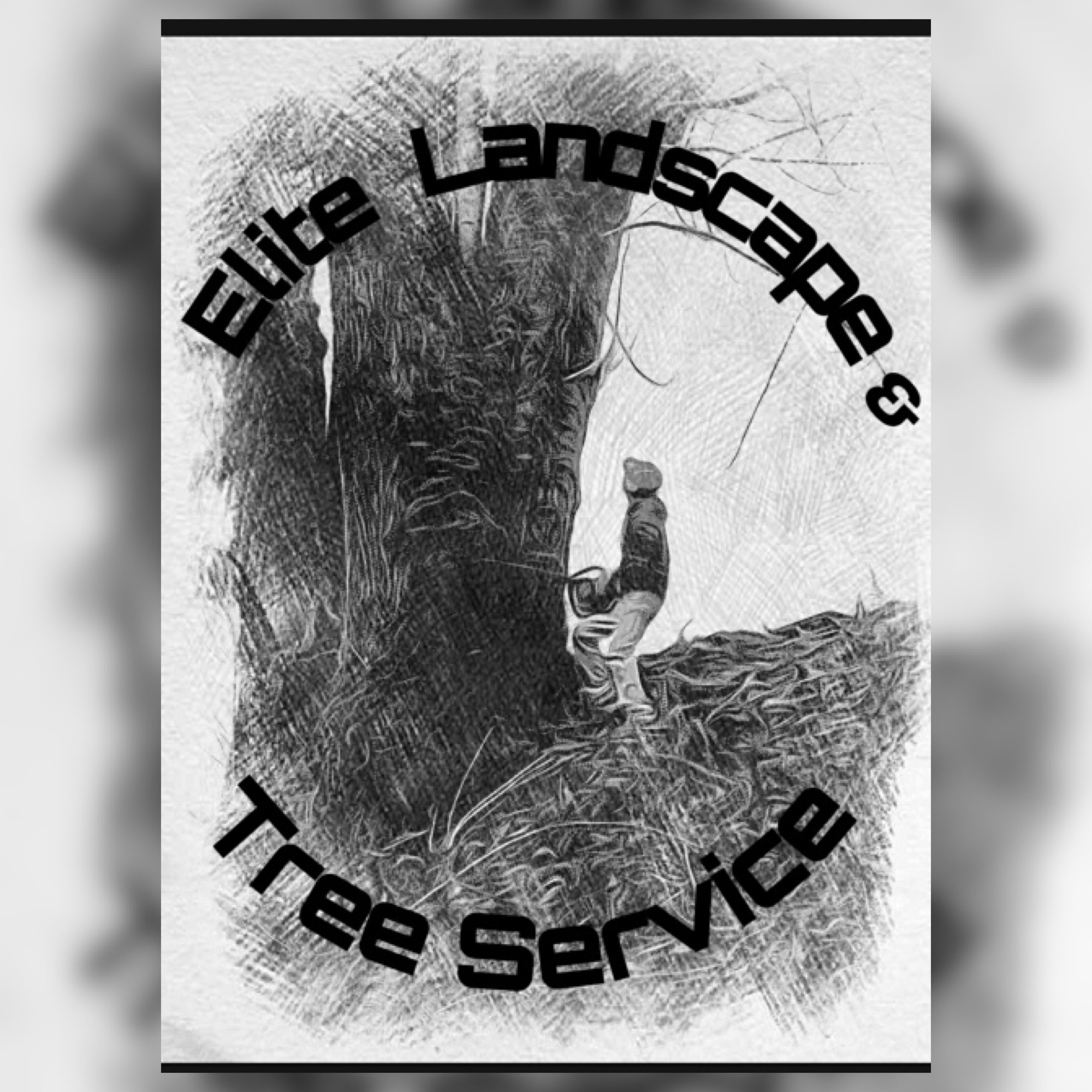 Elite Landscape & Tree Service, LLC Logo