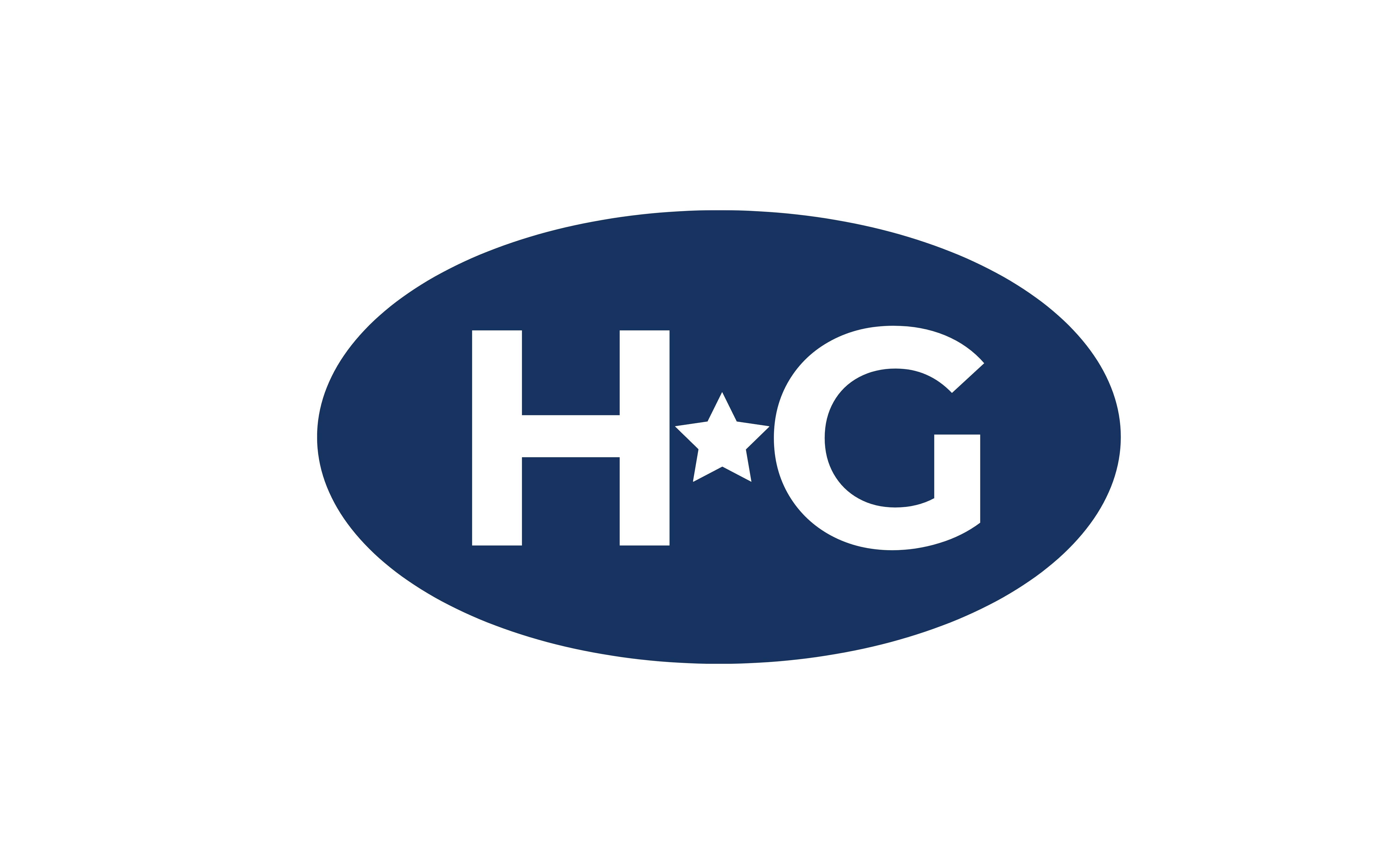 Handy Guy Logo