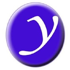 Yari's Multi Services Logo