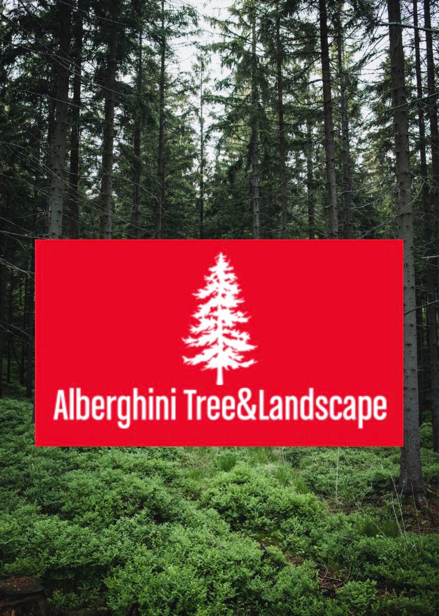 Alberghini Tree & Landscape Logo