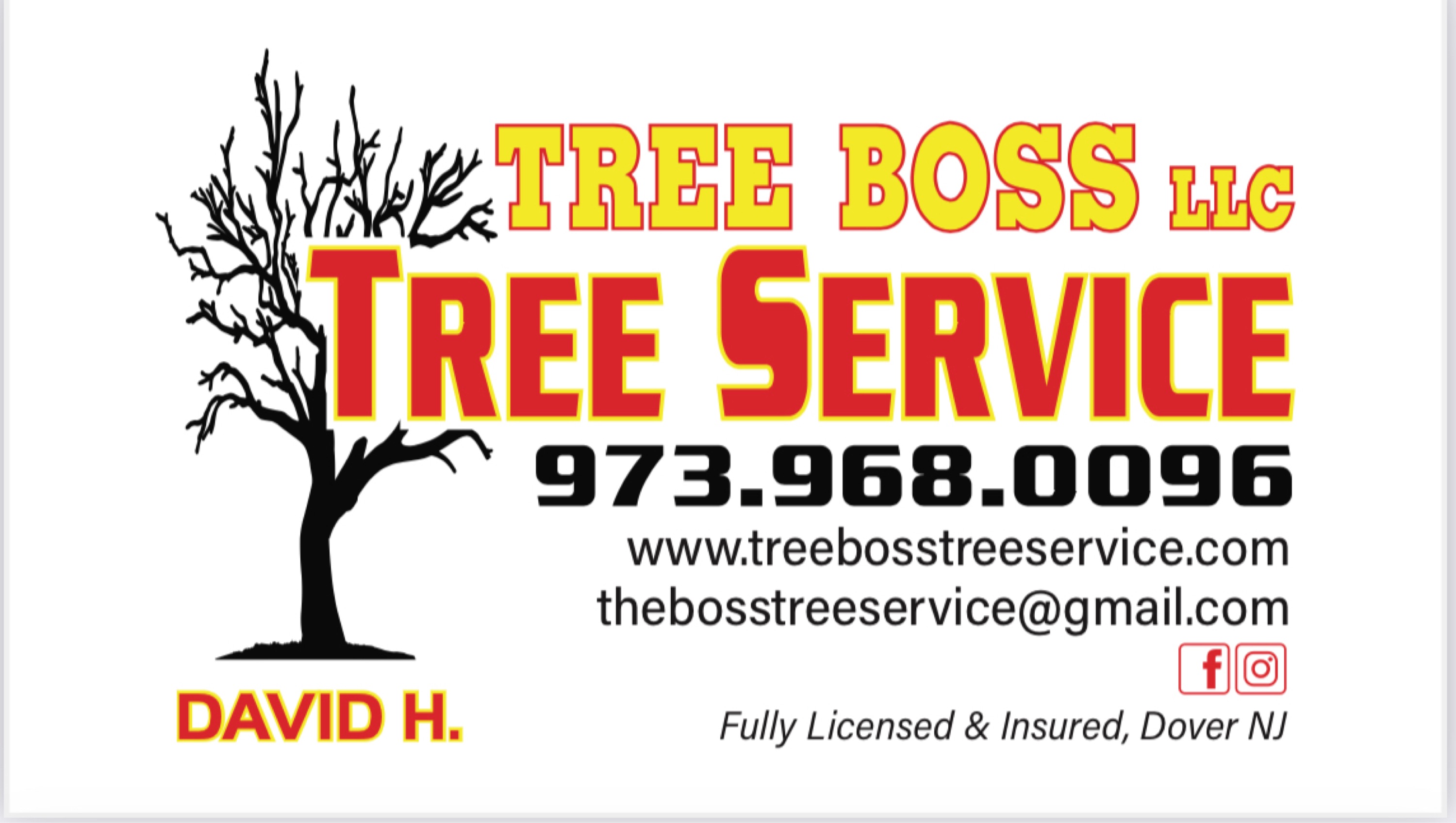 Tree Boss Tree Service LLC Logo