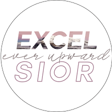Excelsior Professional Organizing Logo