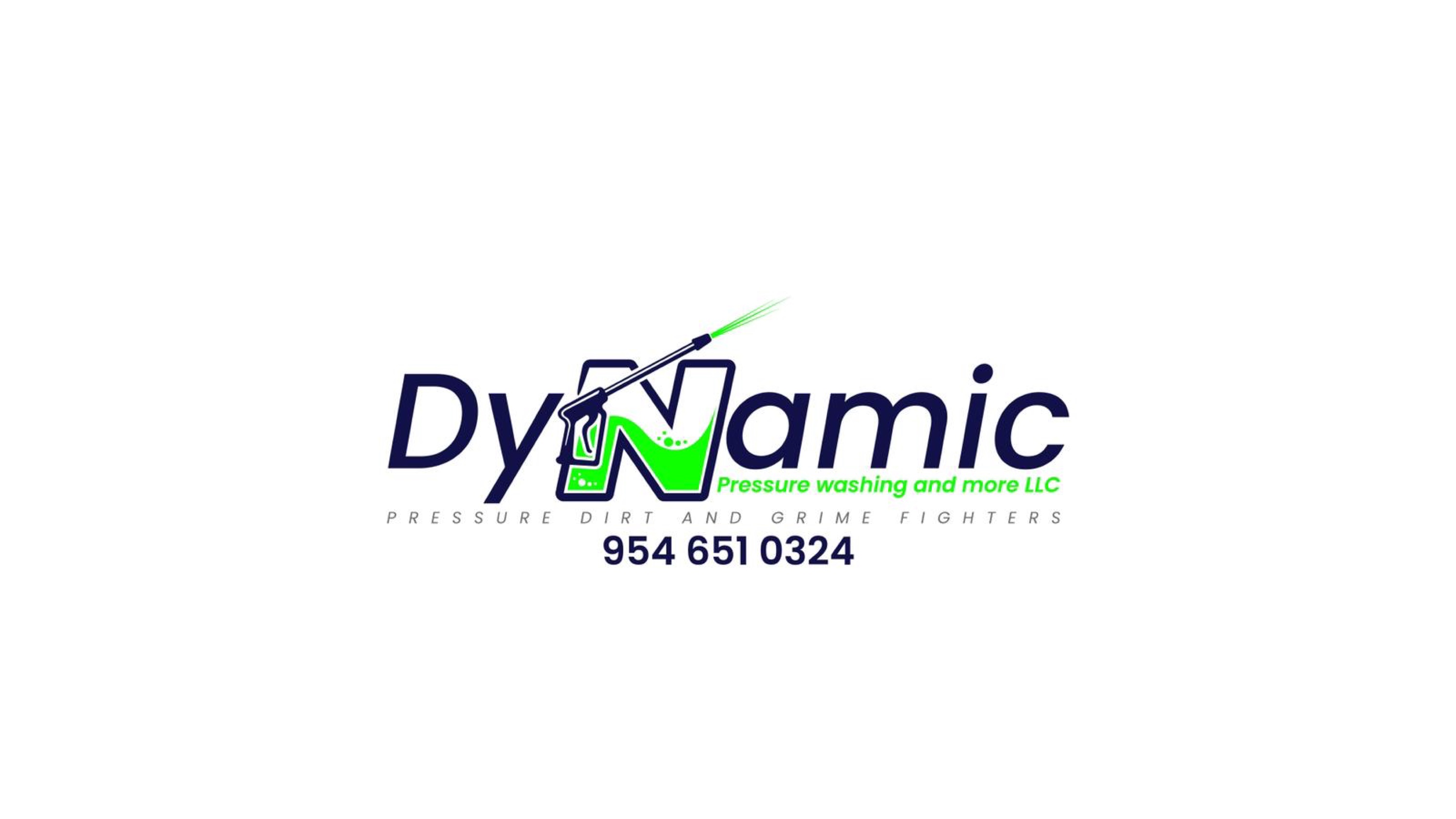 Dynamic Pressure Washing and More Logo