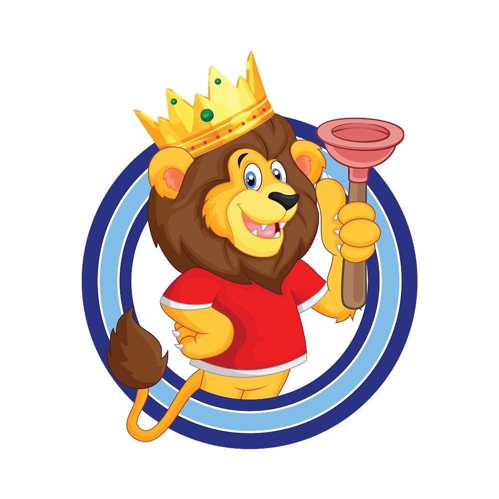 Drain King Plumbing, LLC Logo