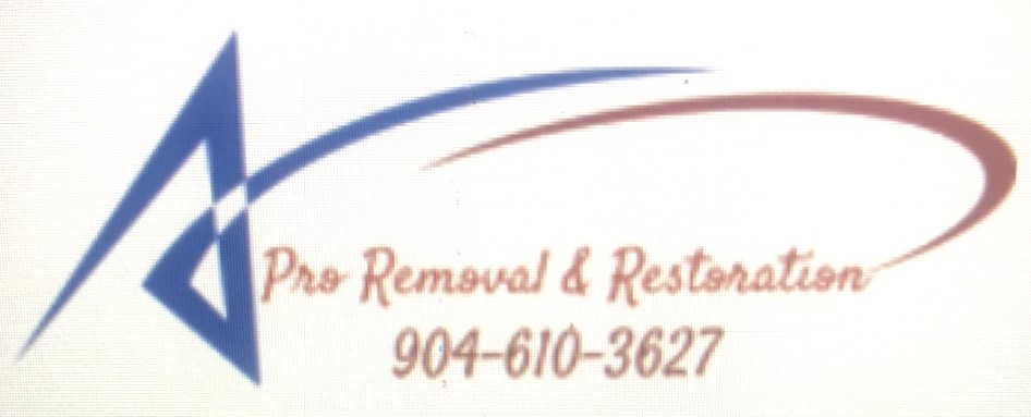 Pro Removal & Restoration Logo