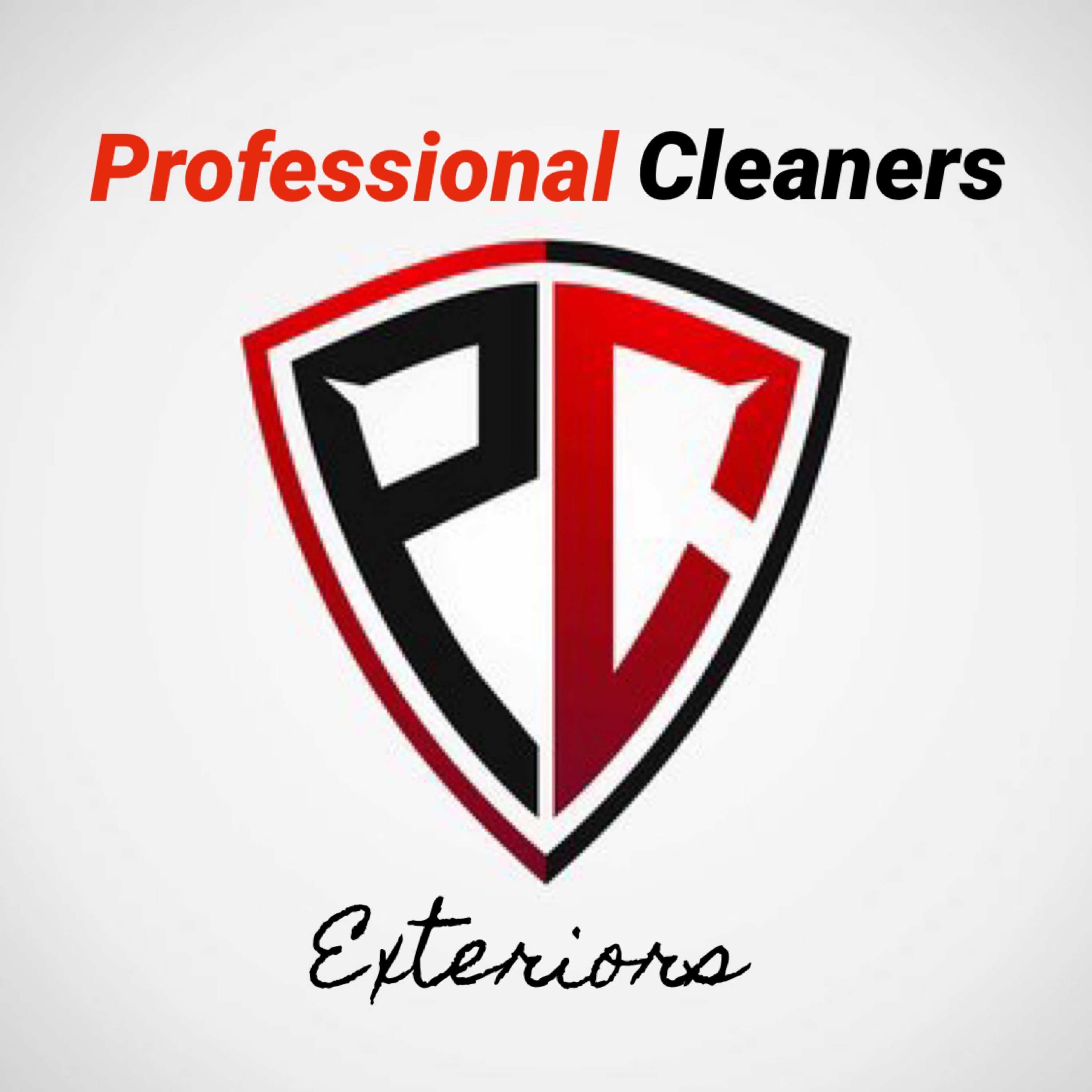 Professional Cleaners LLC Logo