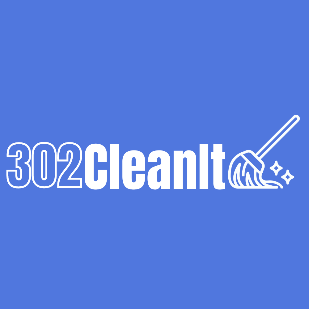 302CleanIt Logo